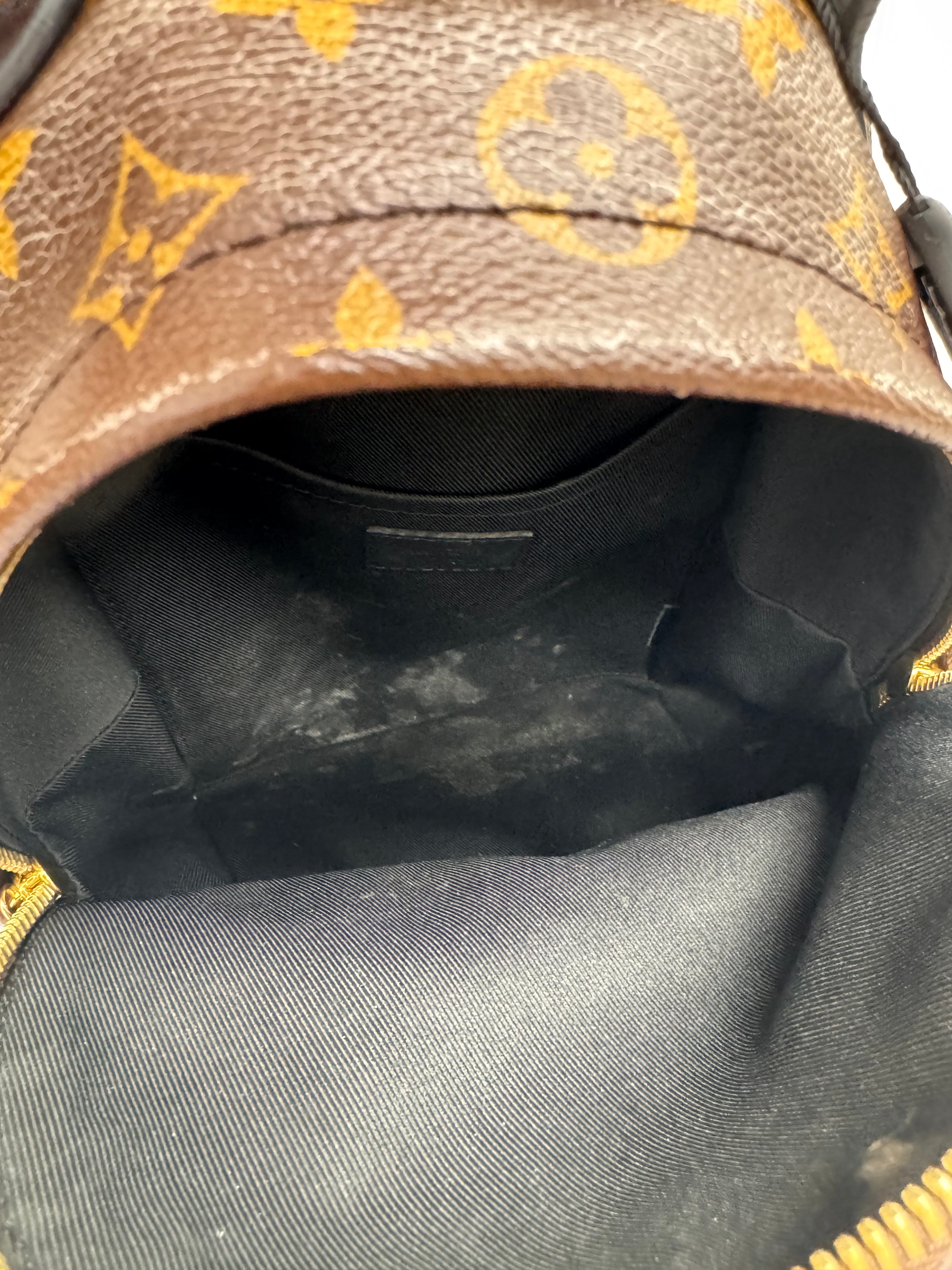 Louis Vuitton Monogram Reverse Palm Springs PM Backpack