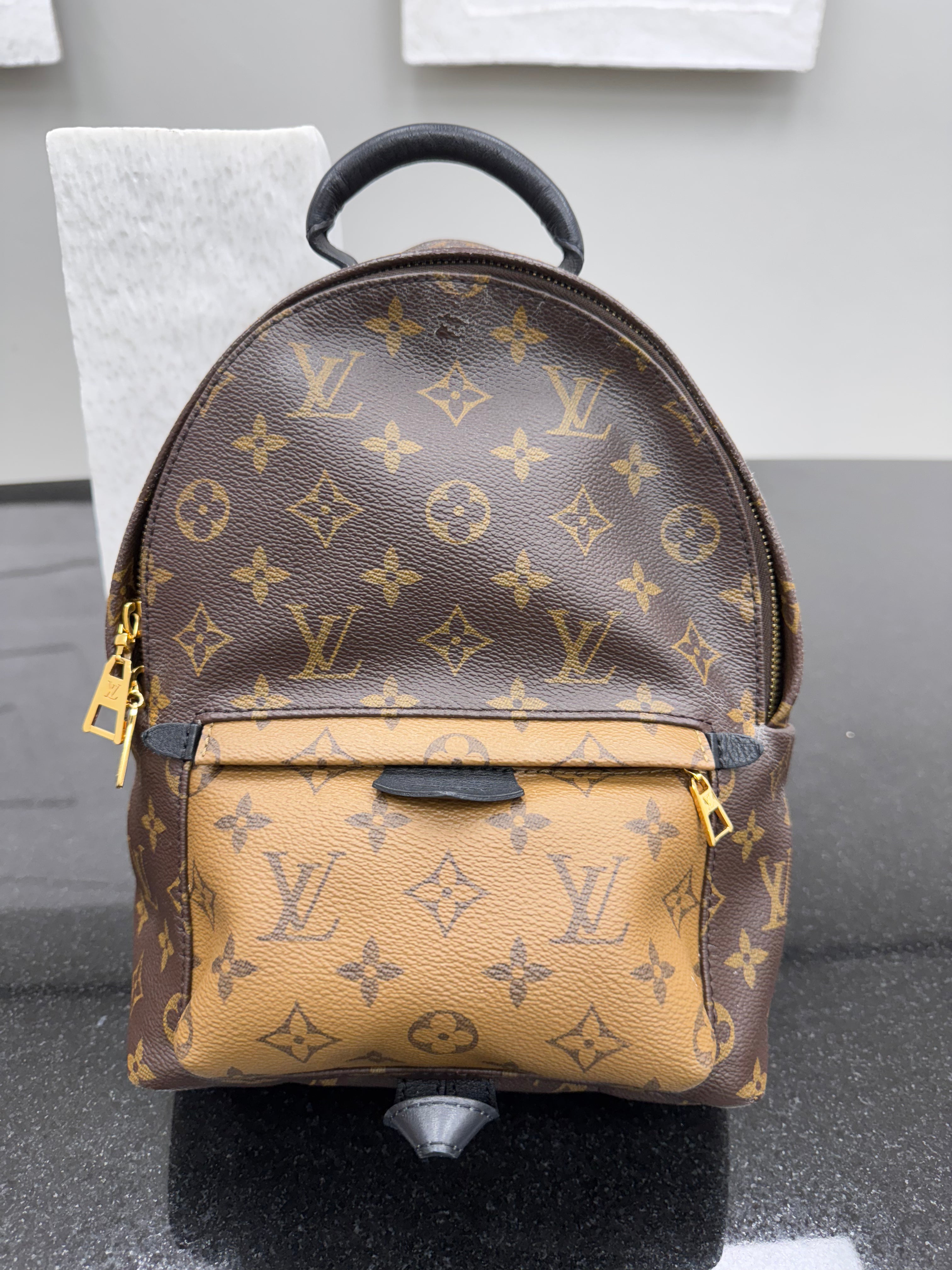 Louis Vuitton Monogram Reverse Palm Springs PM Backpack
