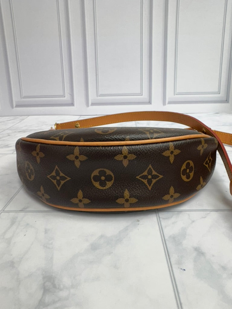 Louis Vuitton Monogram Loop Shoulder Bag