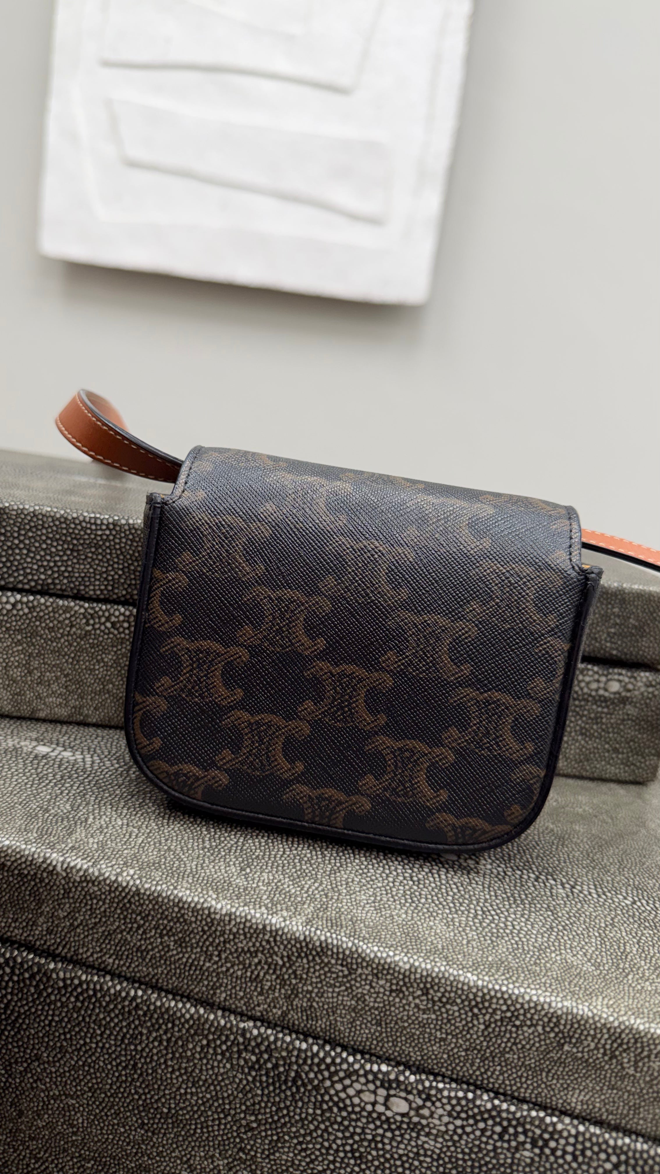 BRAND NEW- Celine Triomphe Coated Canvas Mini Claude
