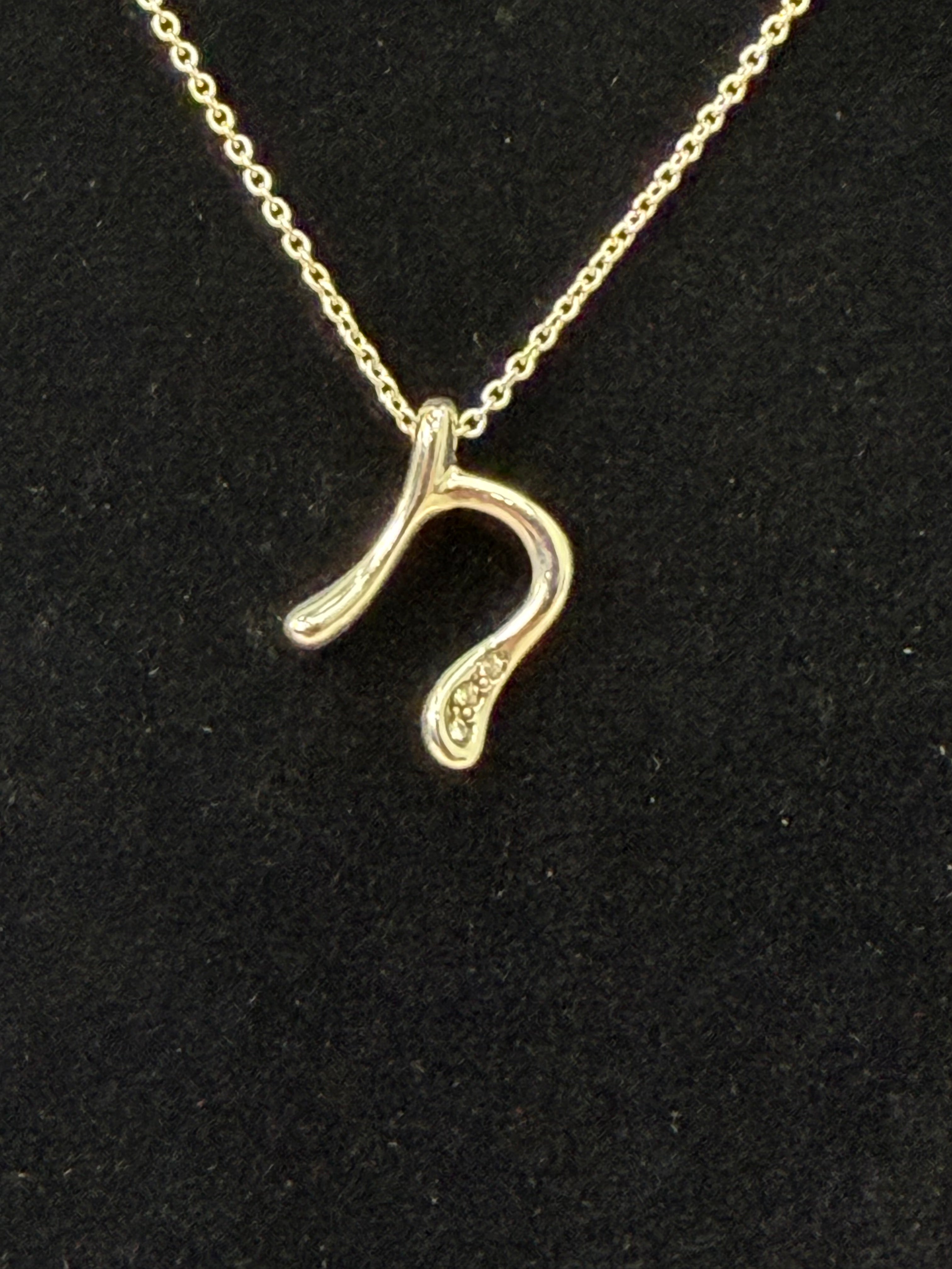 Tiffany & Co. x Elsa Peretti Sterling Silver Initial N Necklace