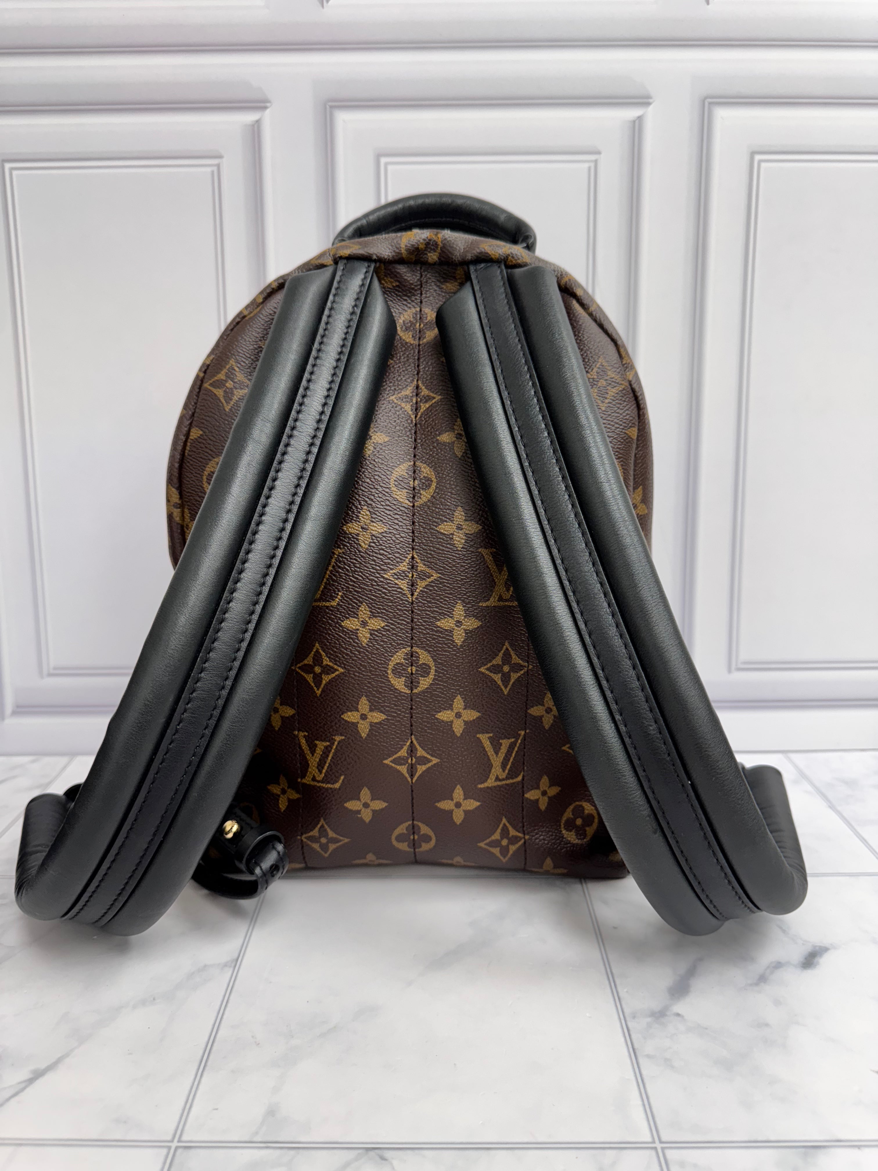 Louis Vuitton Monogram Reverse Palm Springs PM Backpack