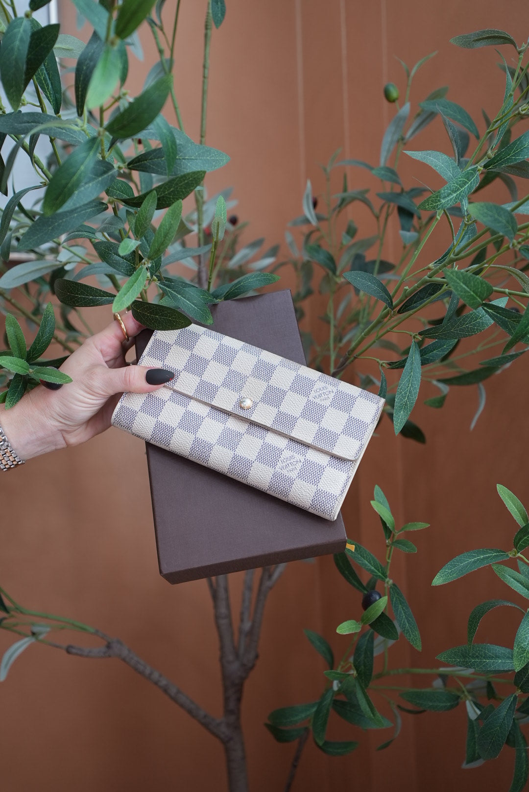 Louis Vuitton Damier Azur Sarah Wallet