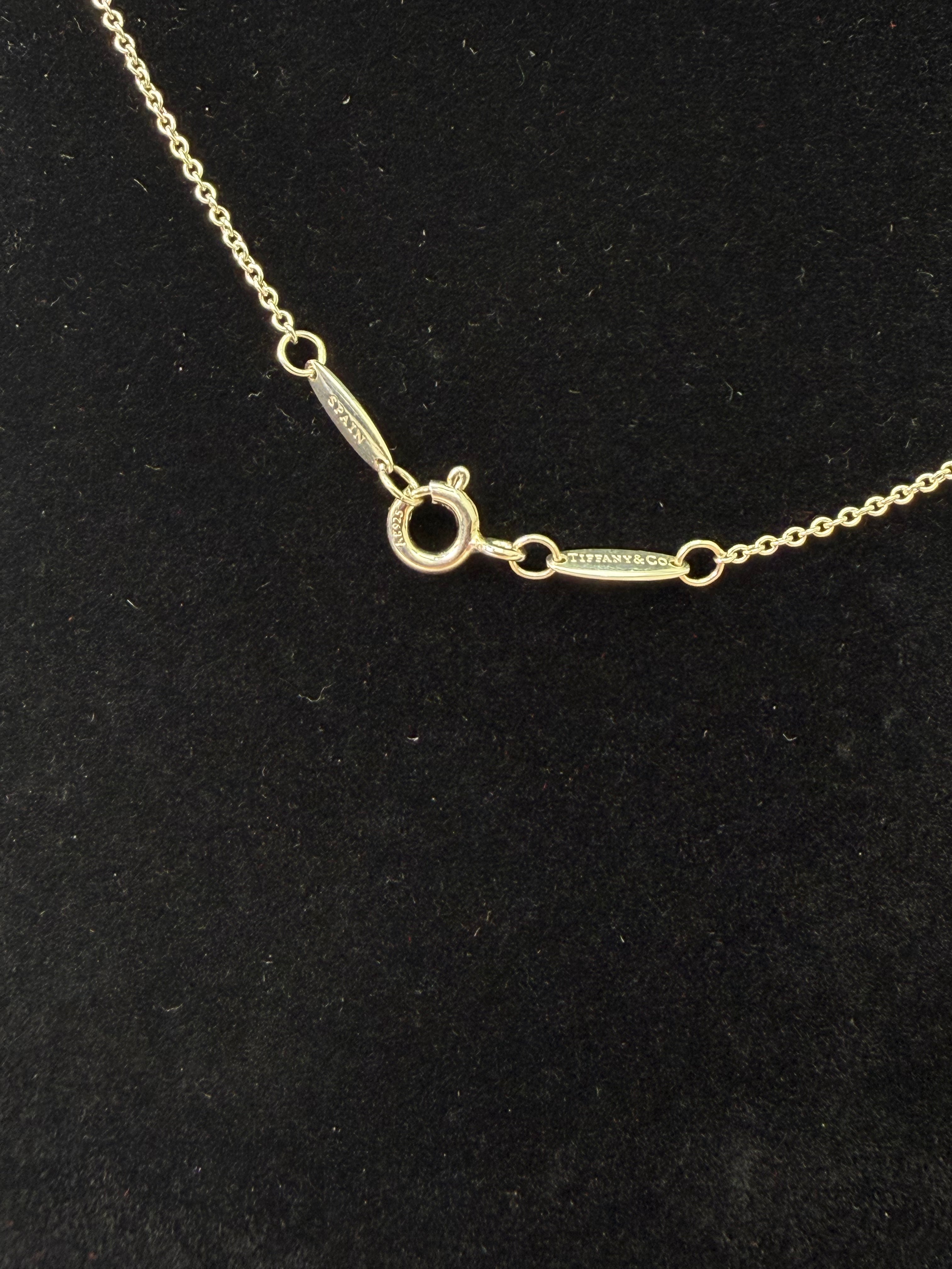 Tiffany & Co. x Elsa Peretti Sterling Silver Initial N Necklace