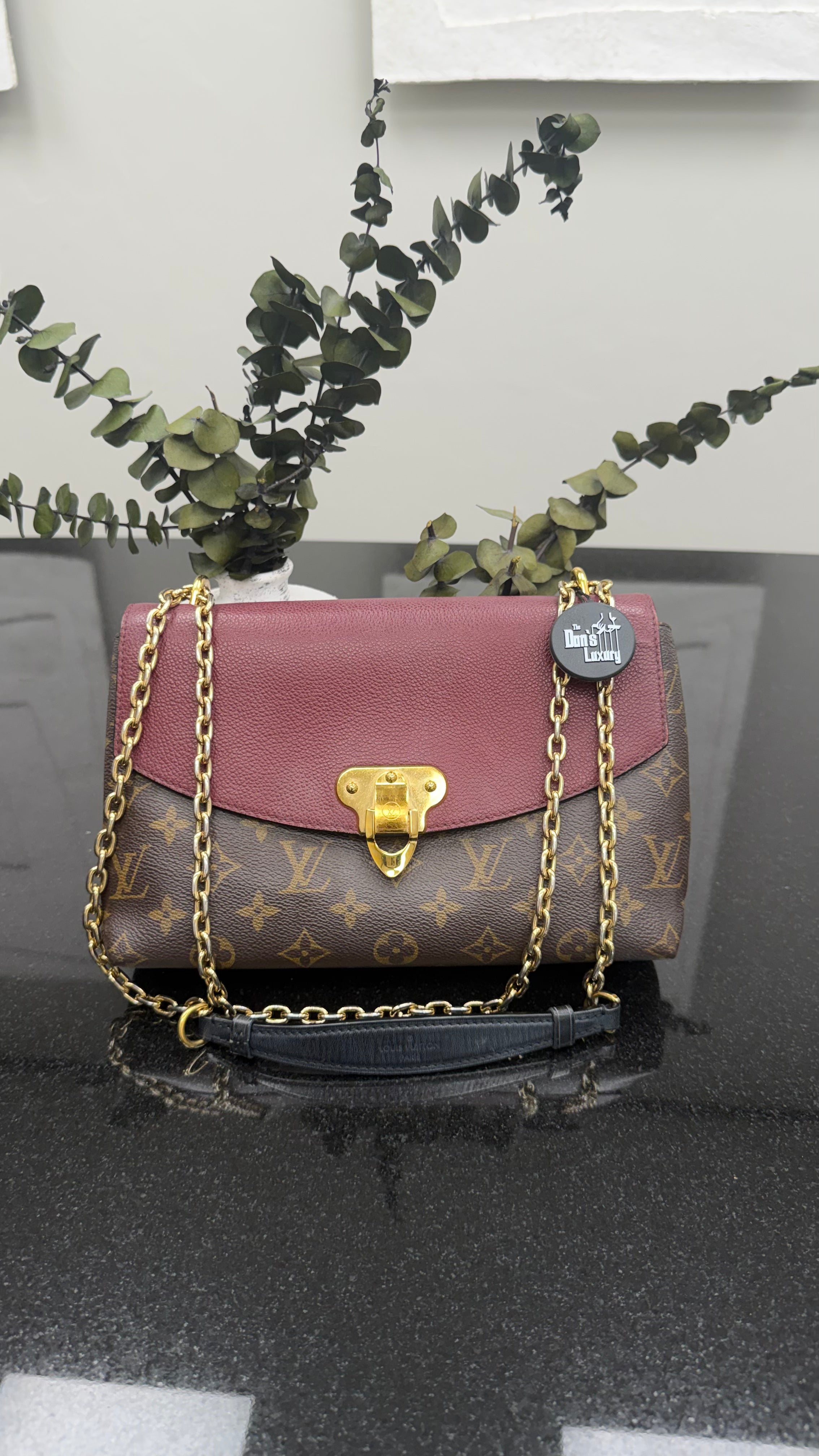 Louis Vuitton Monogram And Burgundy Saint-Placide Shoulder Bag