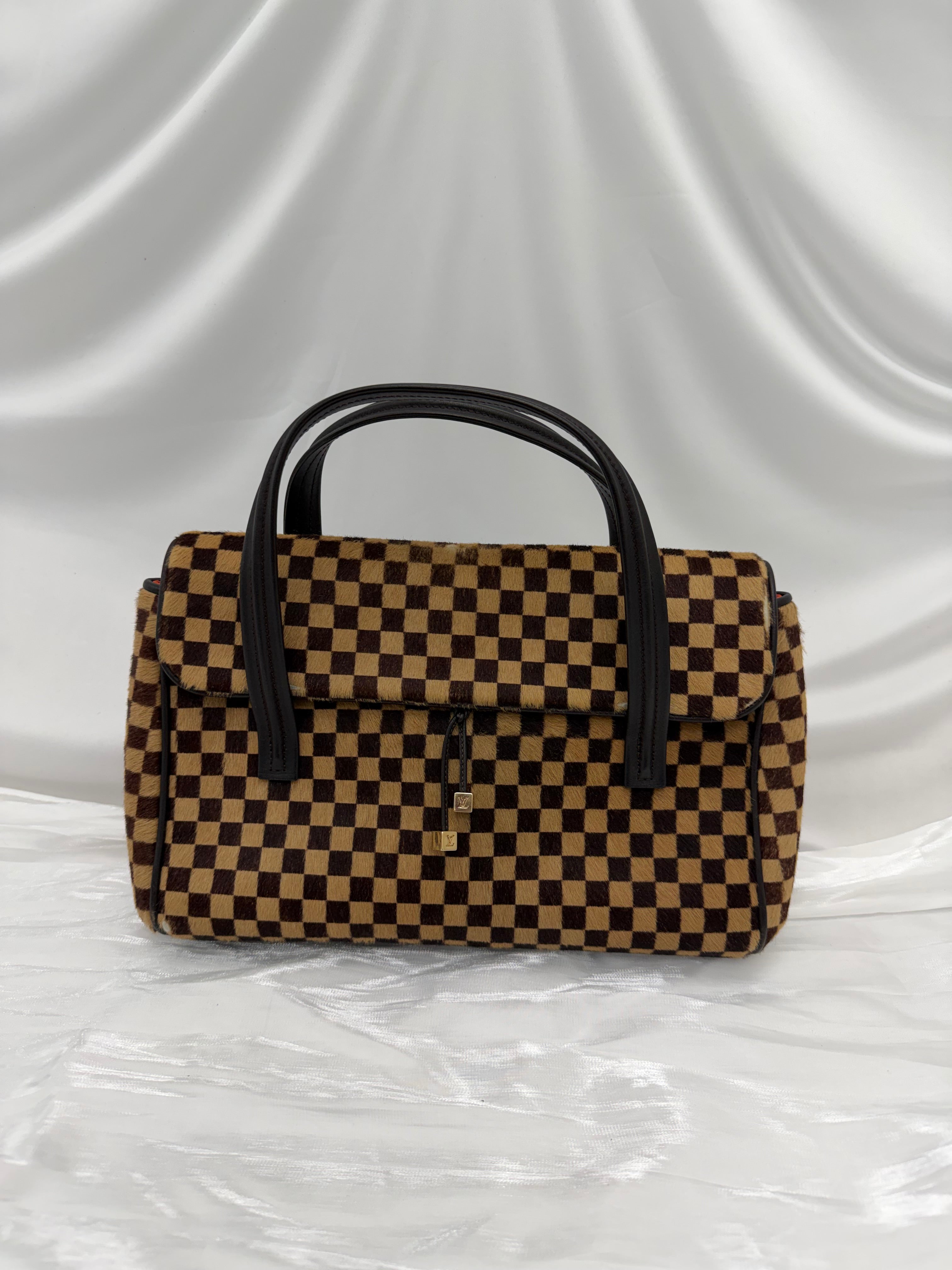 Louis Vuitton Damier Sauvage Lionne Handbag