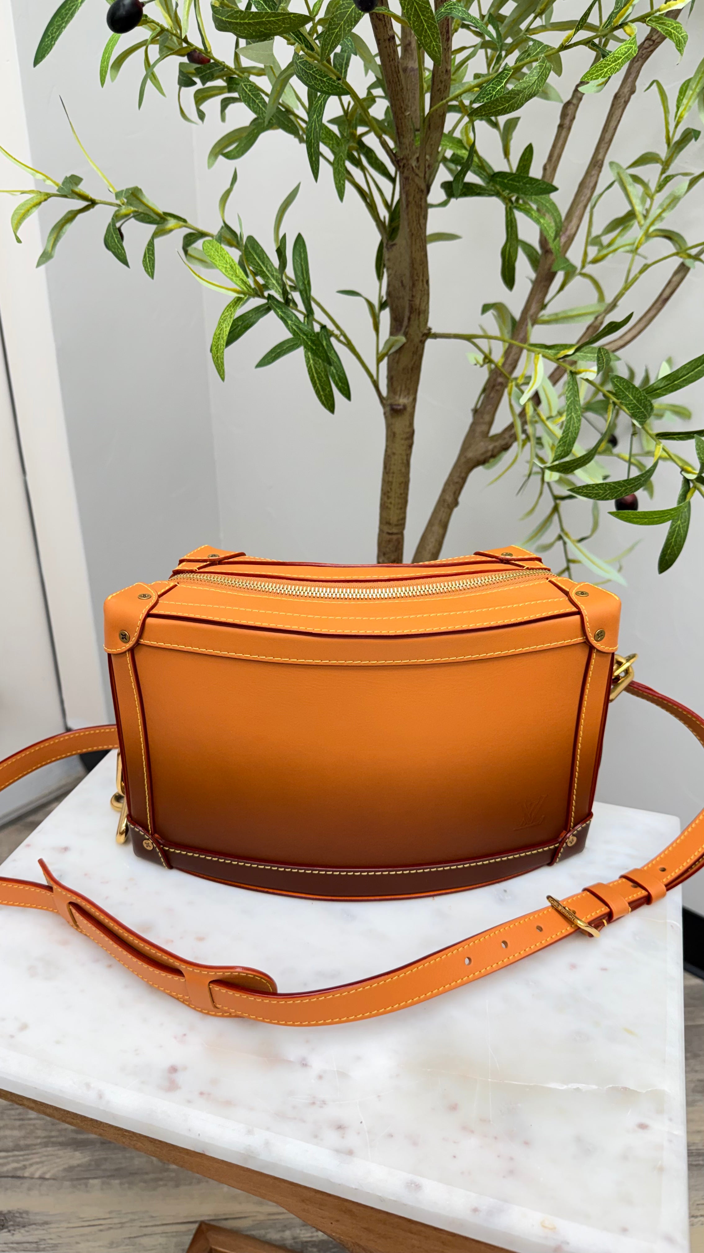 *DONS DROP* BRAND NEW- Louis Vuitton Ombre Cowhide Leather Curved Soft Trunk
