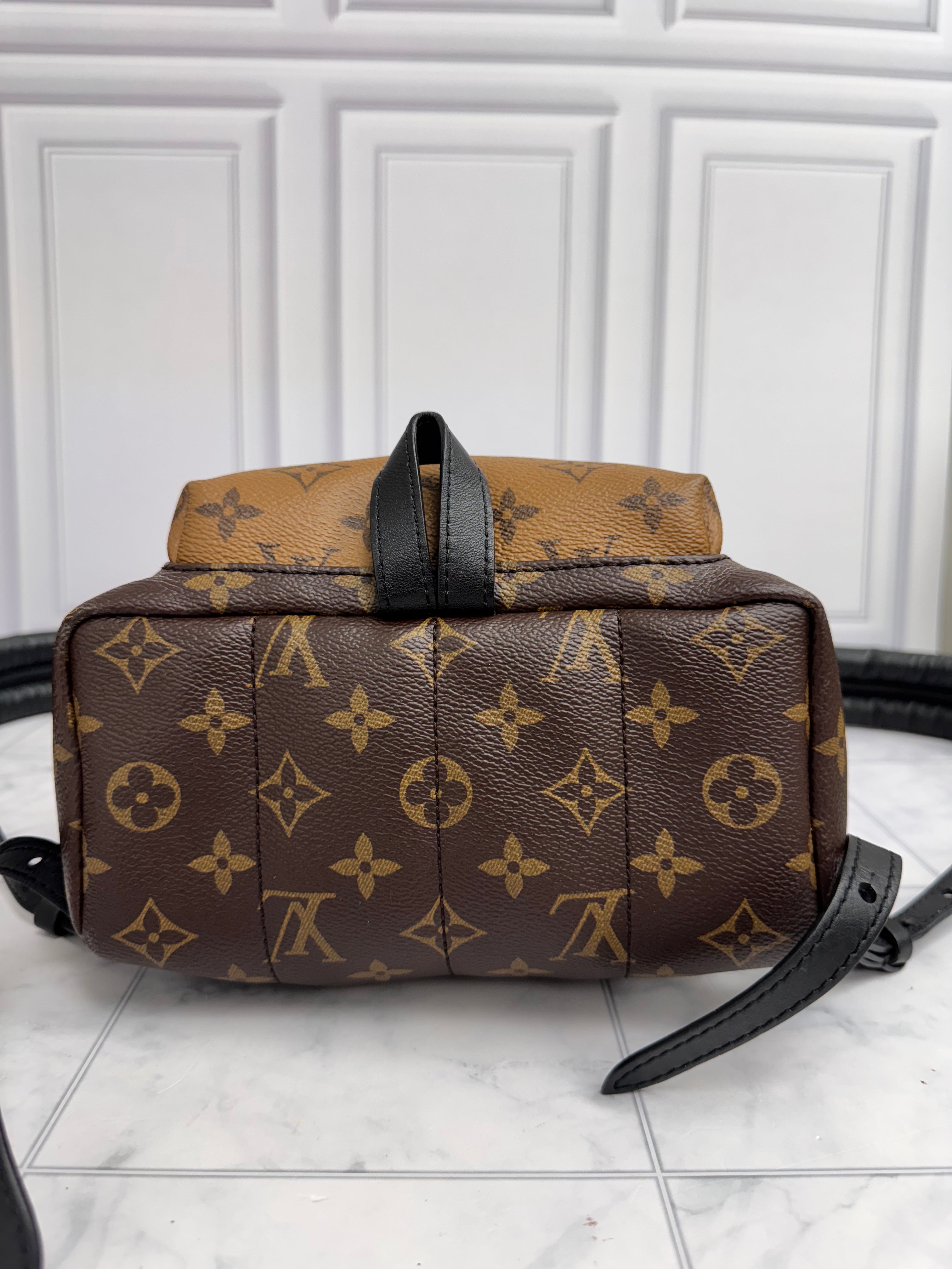 Louis Vuitton Monogram Reverse Palm Springs PM Backpack
