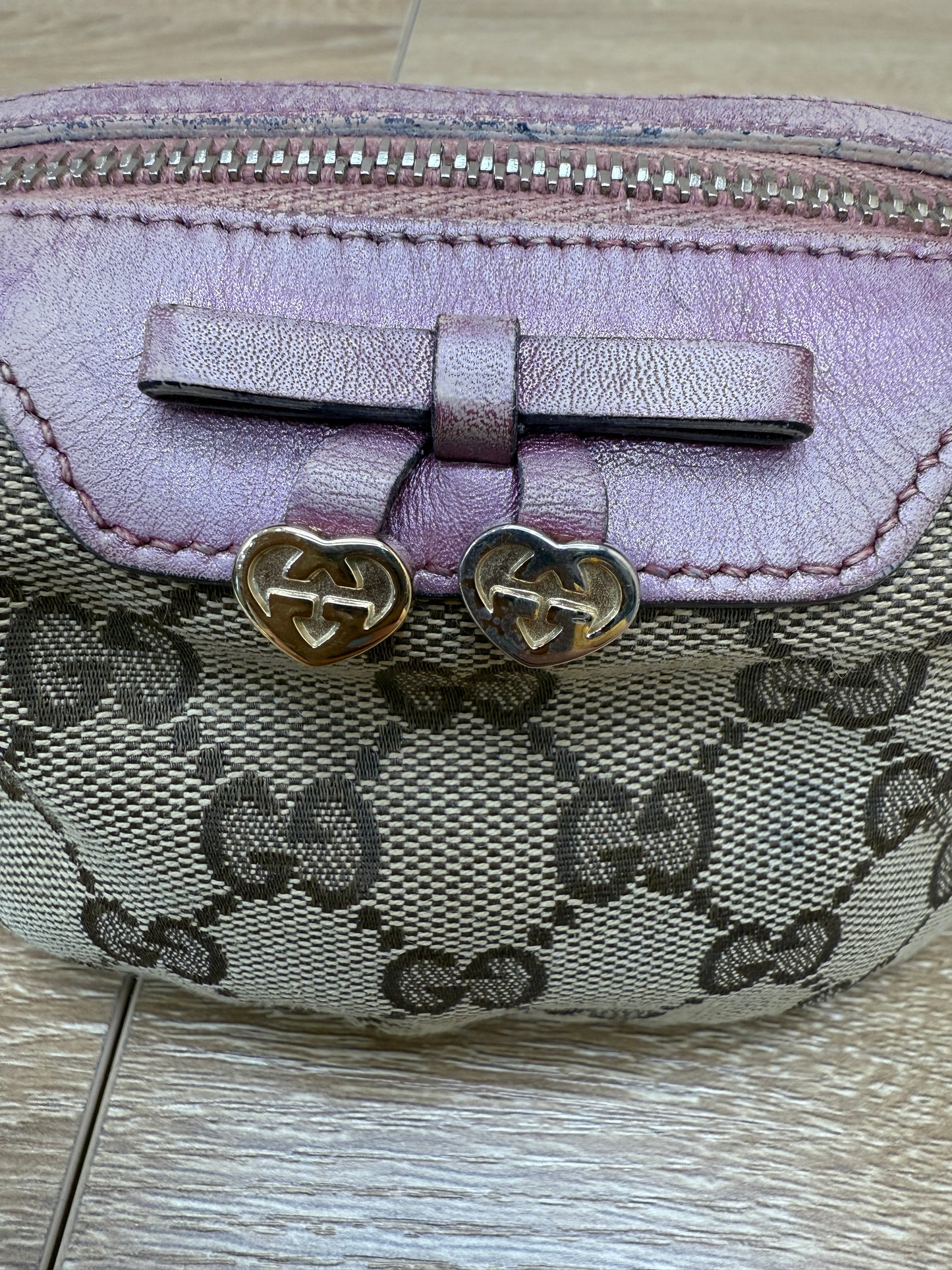 Gucci Canvas & Mauve Leather Cosmetic Pouch