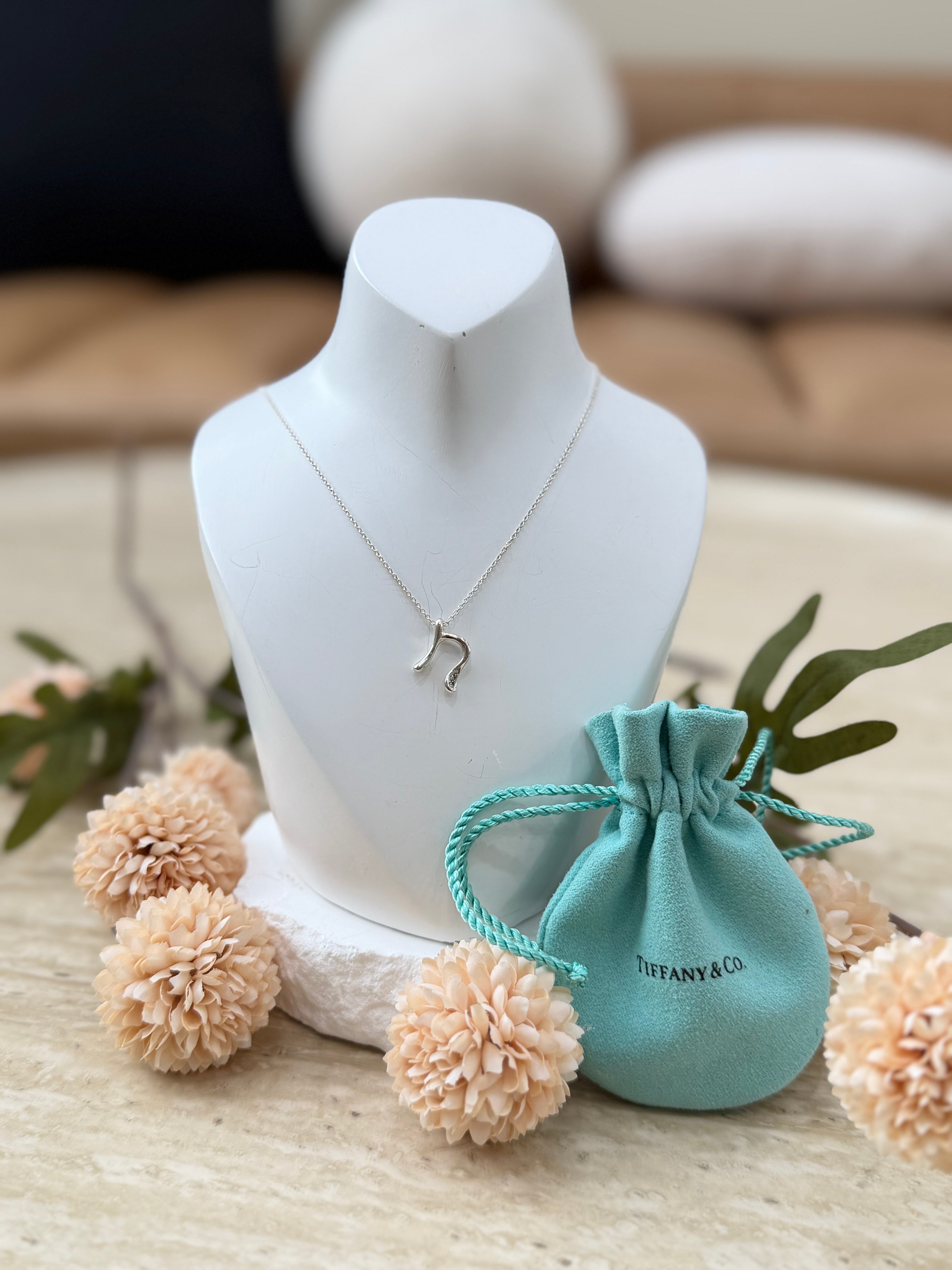 Tiffany & Co. x Elsa Peretti Sterling Silver Initial N Necklace