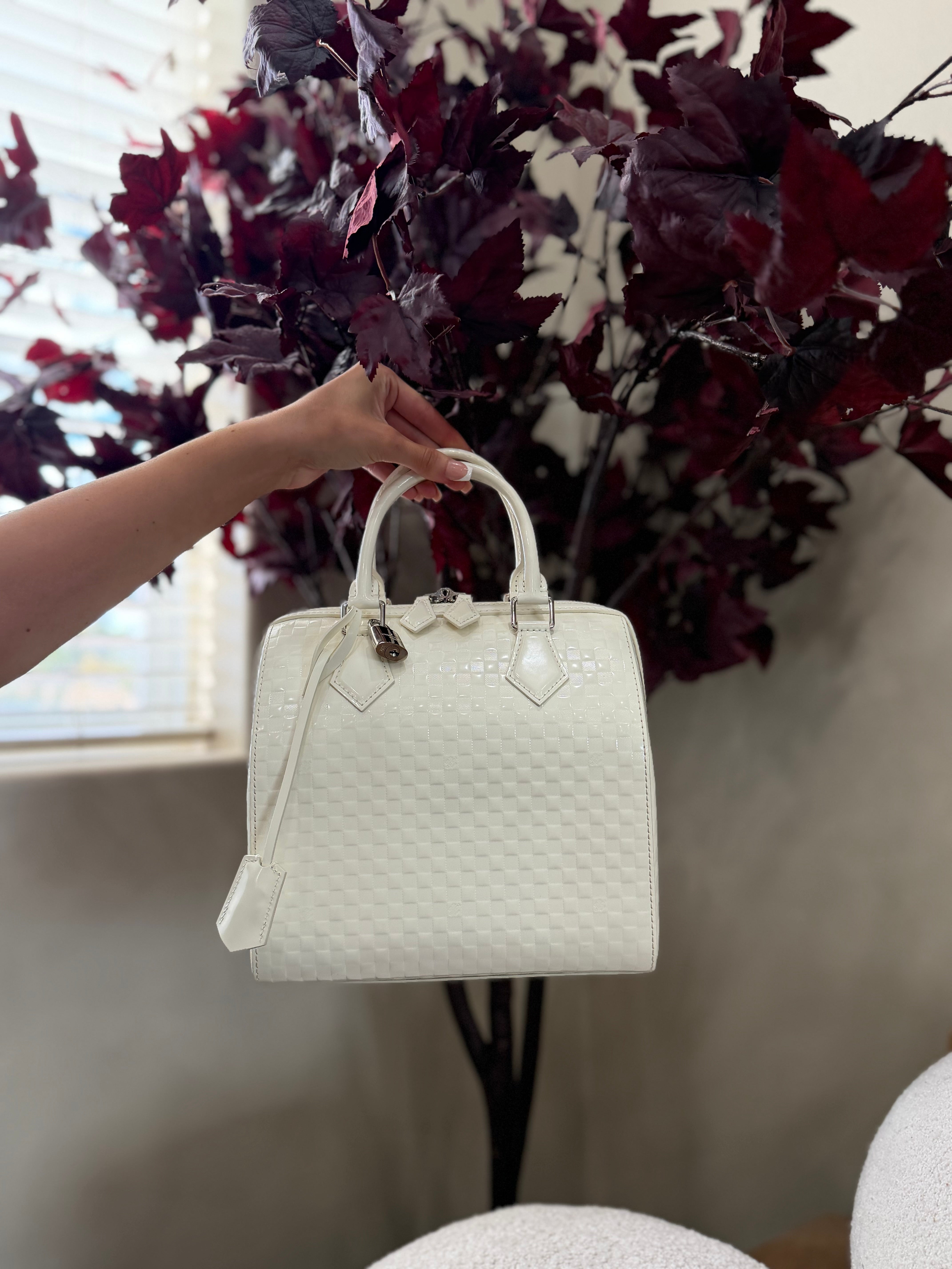 Louis Vuitton Cream Damier Facette Speedy Cube PM Bag