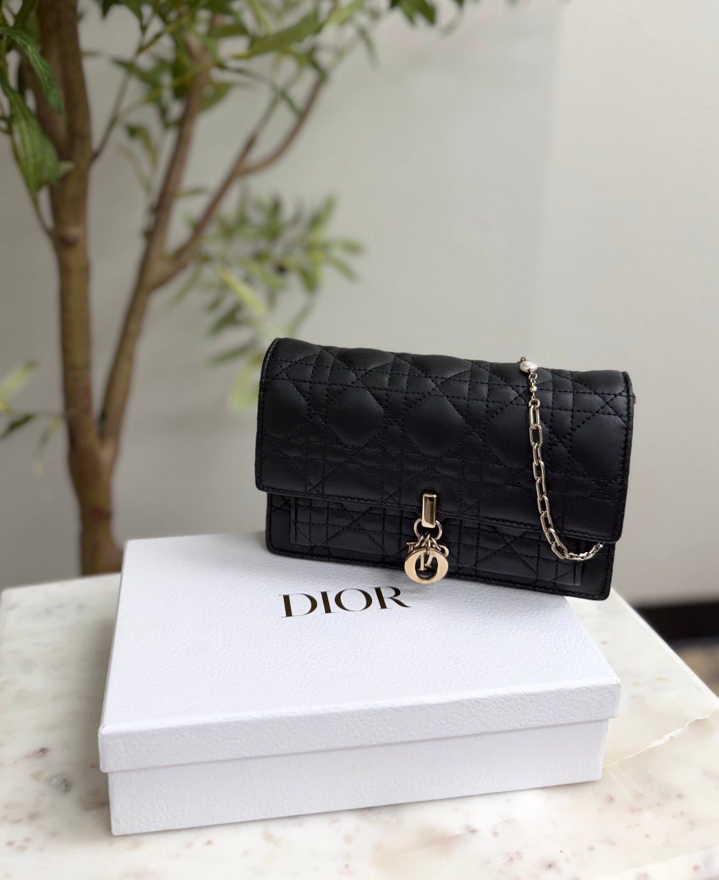 LIKE NEW- Christian Dior Black Cannage Leather My Dior Daily Pouch with Chain