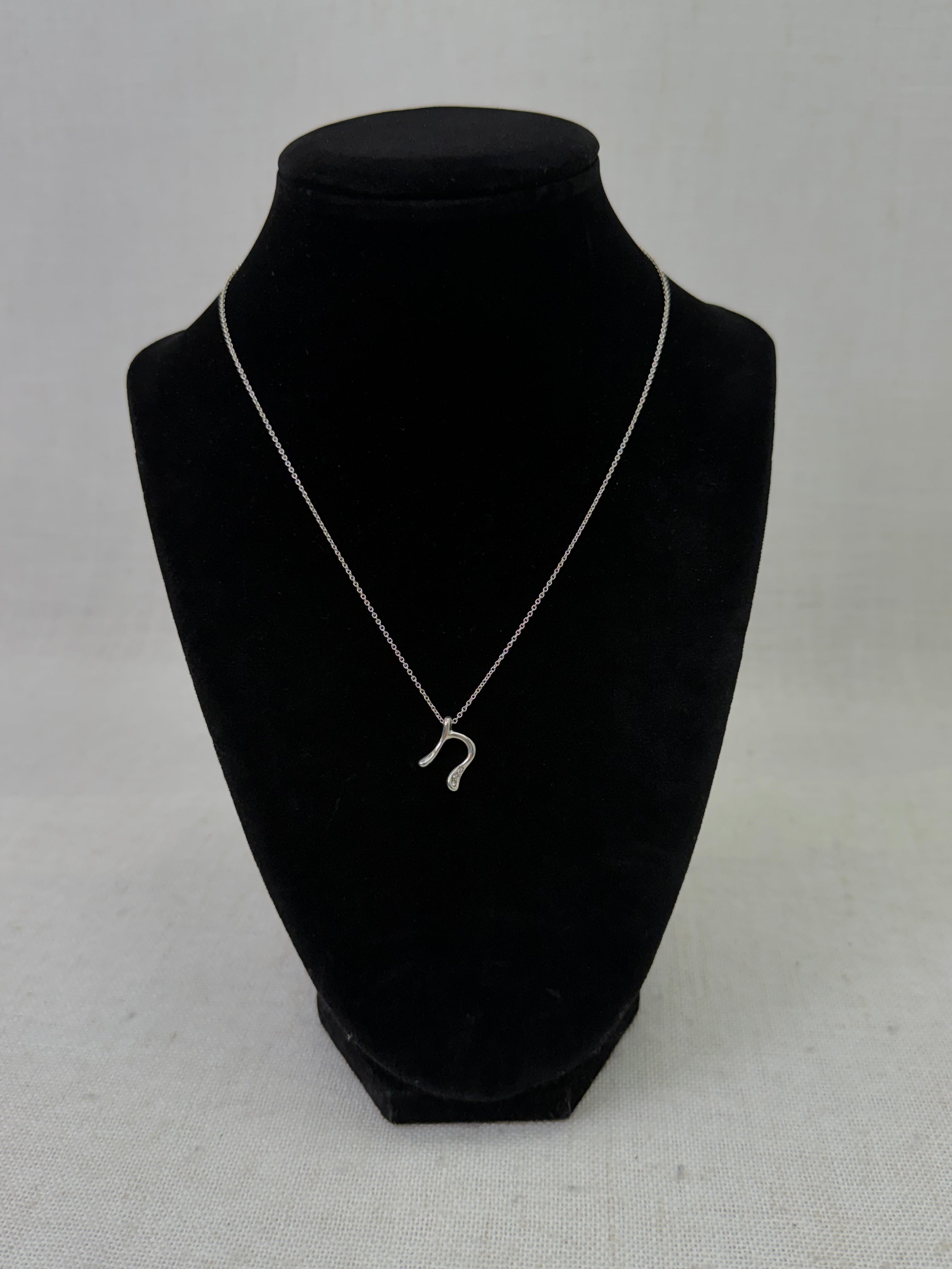 Tiffany & Co. x Elsa Peretti Sterling Silver Initial N Necklace