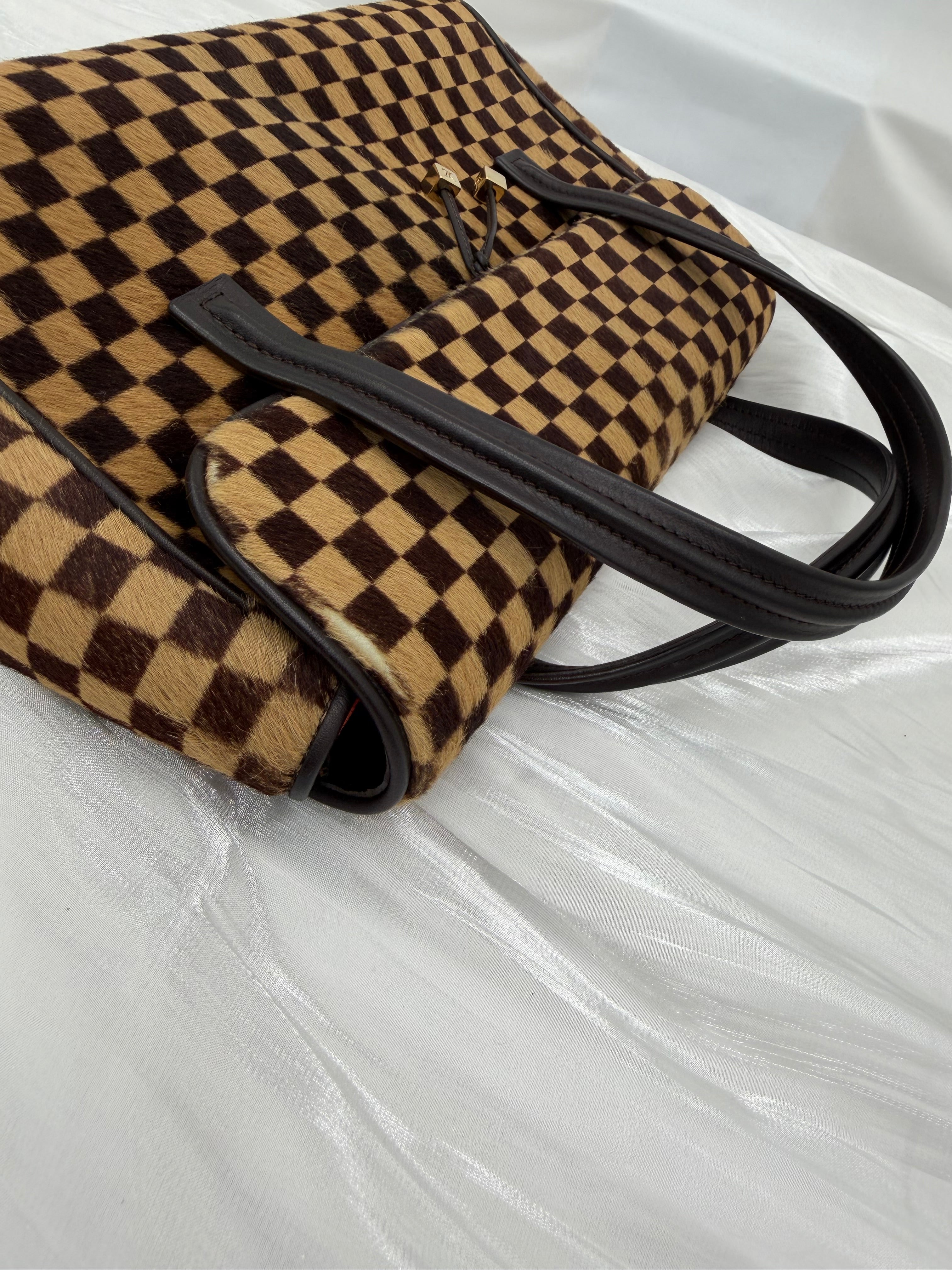 Louis Vuitton Damier Sauvage Lionne Handbag