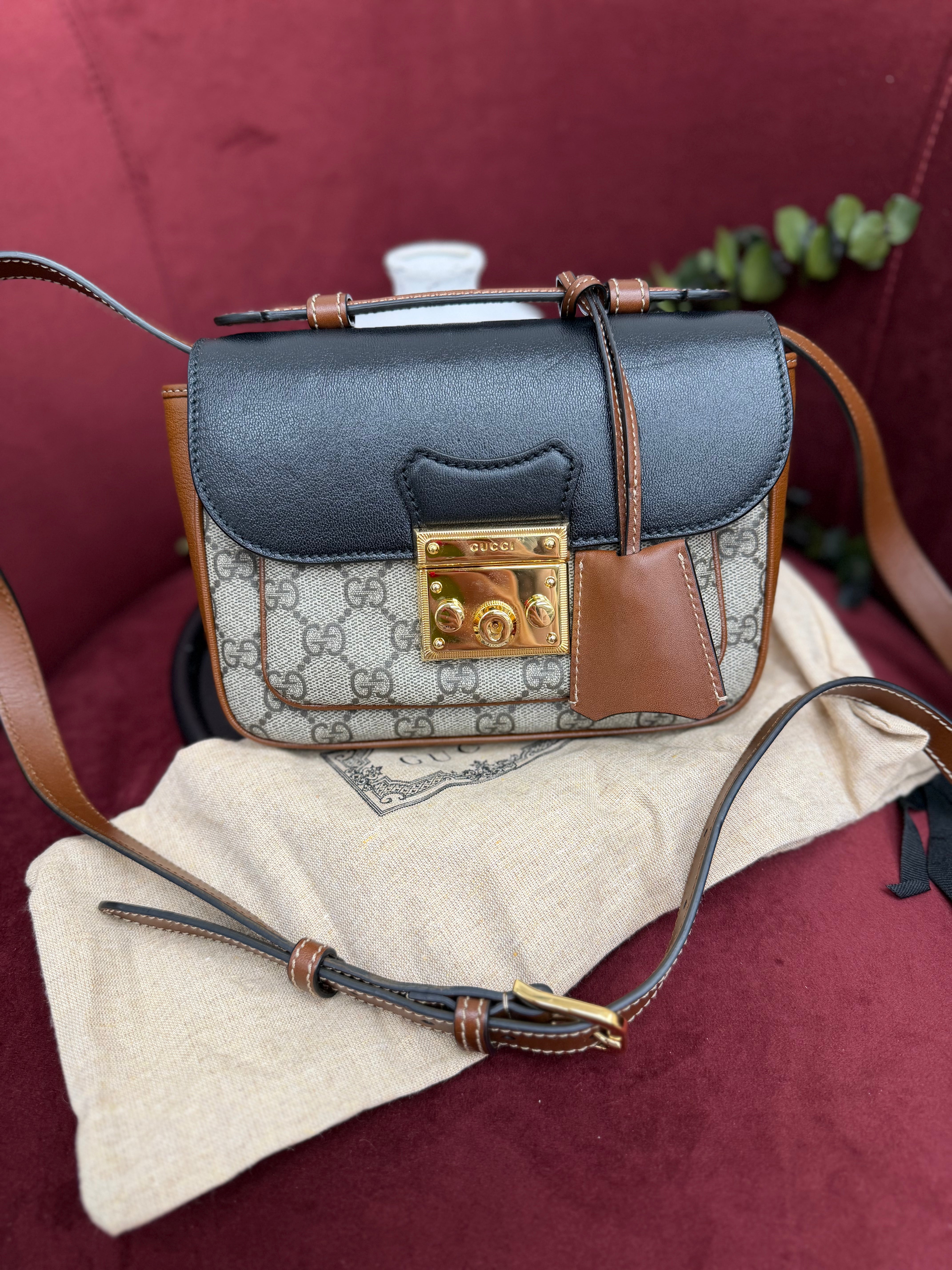Gucci Tricolor Leather & Supremes Canvas Mini Padlock Flap Pocket Bag