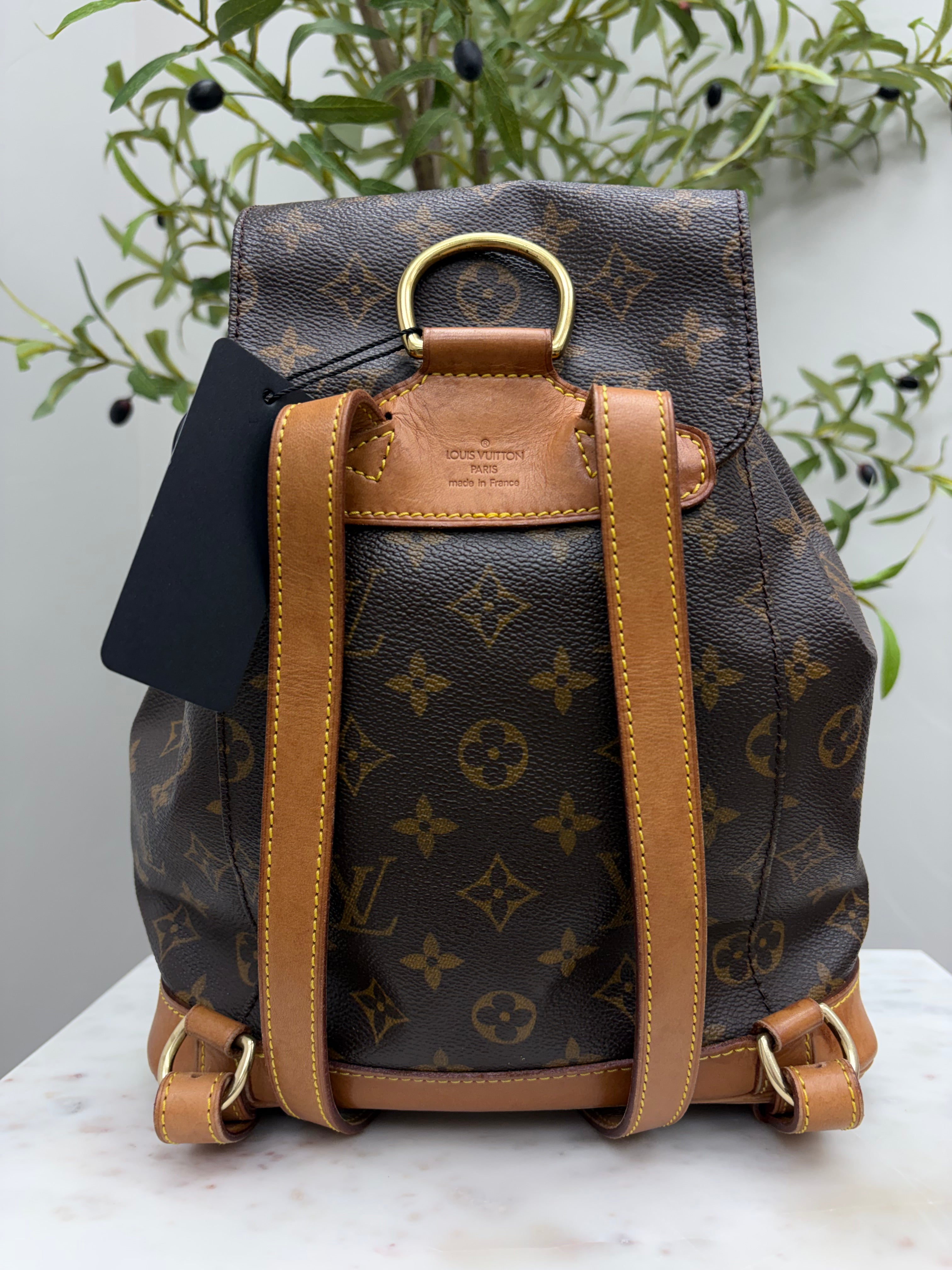 Louis Vuitton Monogram Montsouris Backpack MM