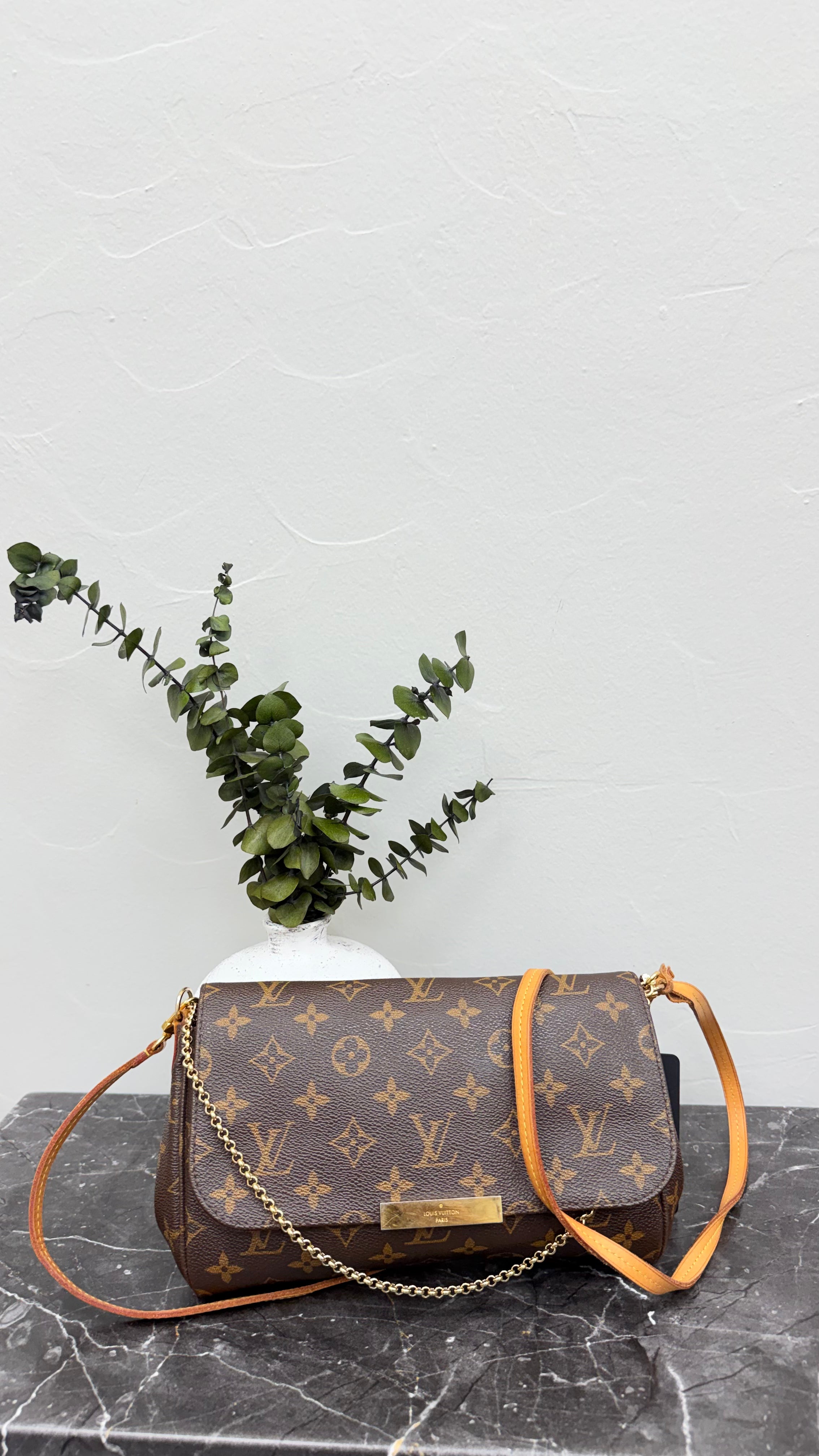 *DONS DROP* Louis Vuitton Monogram Favorite MM Crossbody Bag