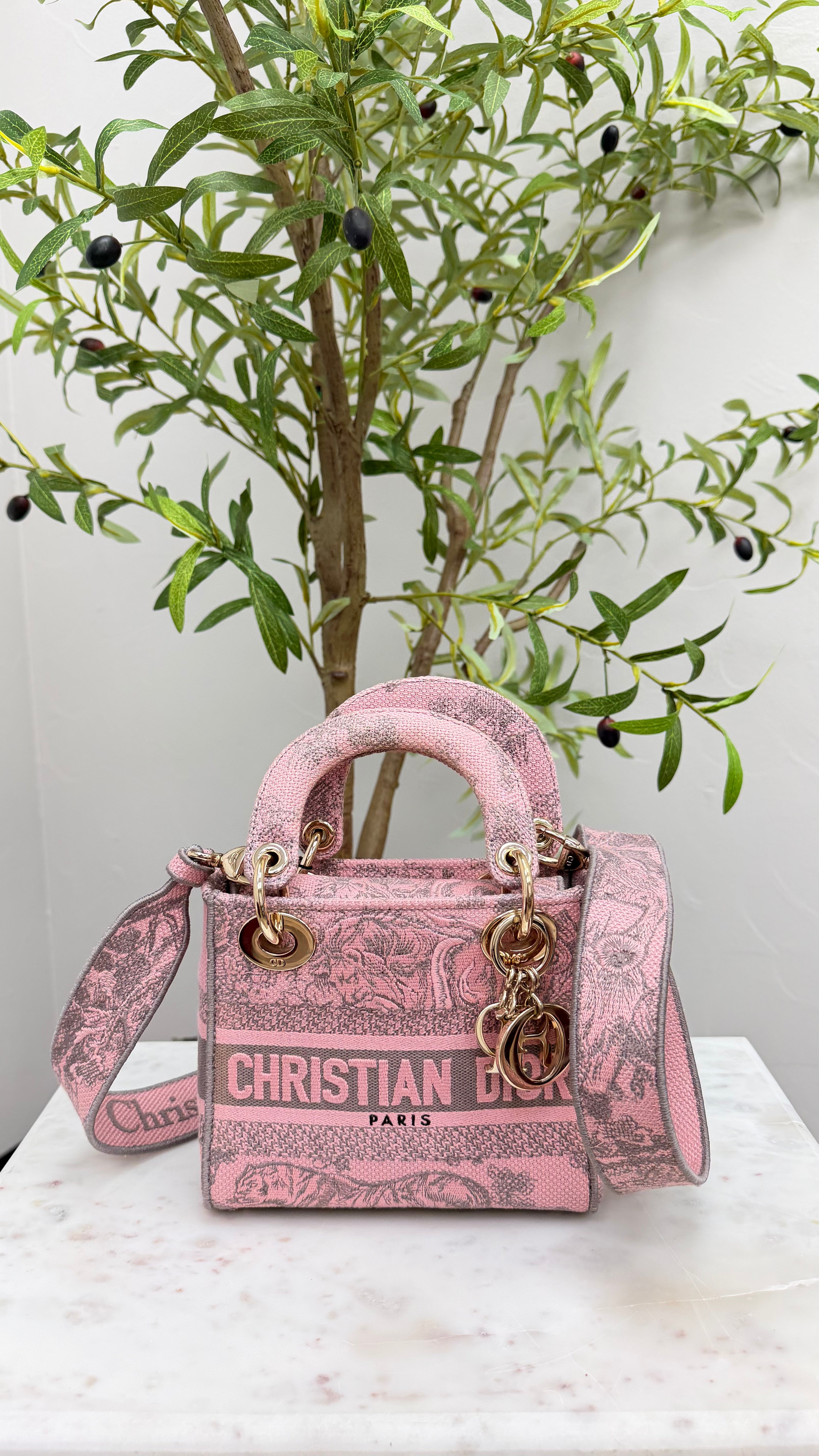 *DONS DROP* Christian Dior Pink Embroidered Canvas Mini Lady D-Lite Bag
