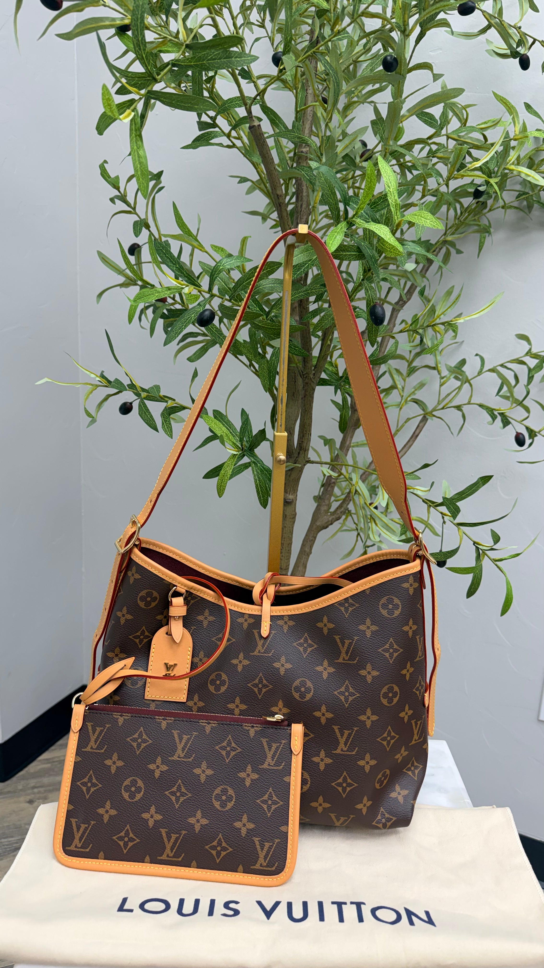 *DONS DROP* BRAND NEW - Louis Vuitton Monogram Carry All PM Shoulder Bag