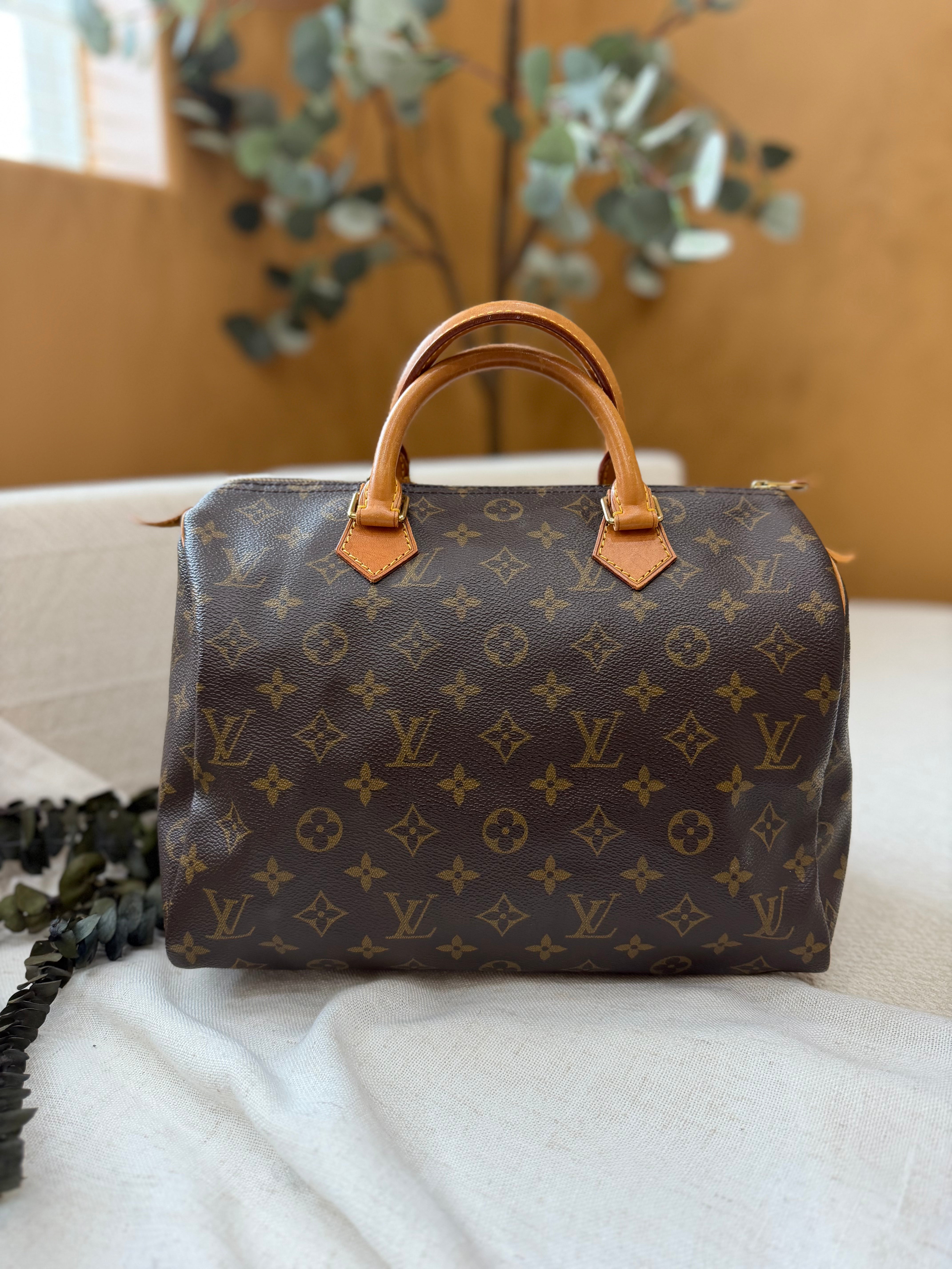 Louis Vuitton Monogram Speedy 30 Handbag