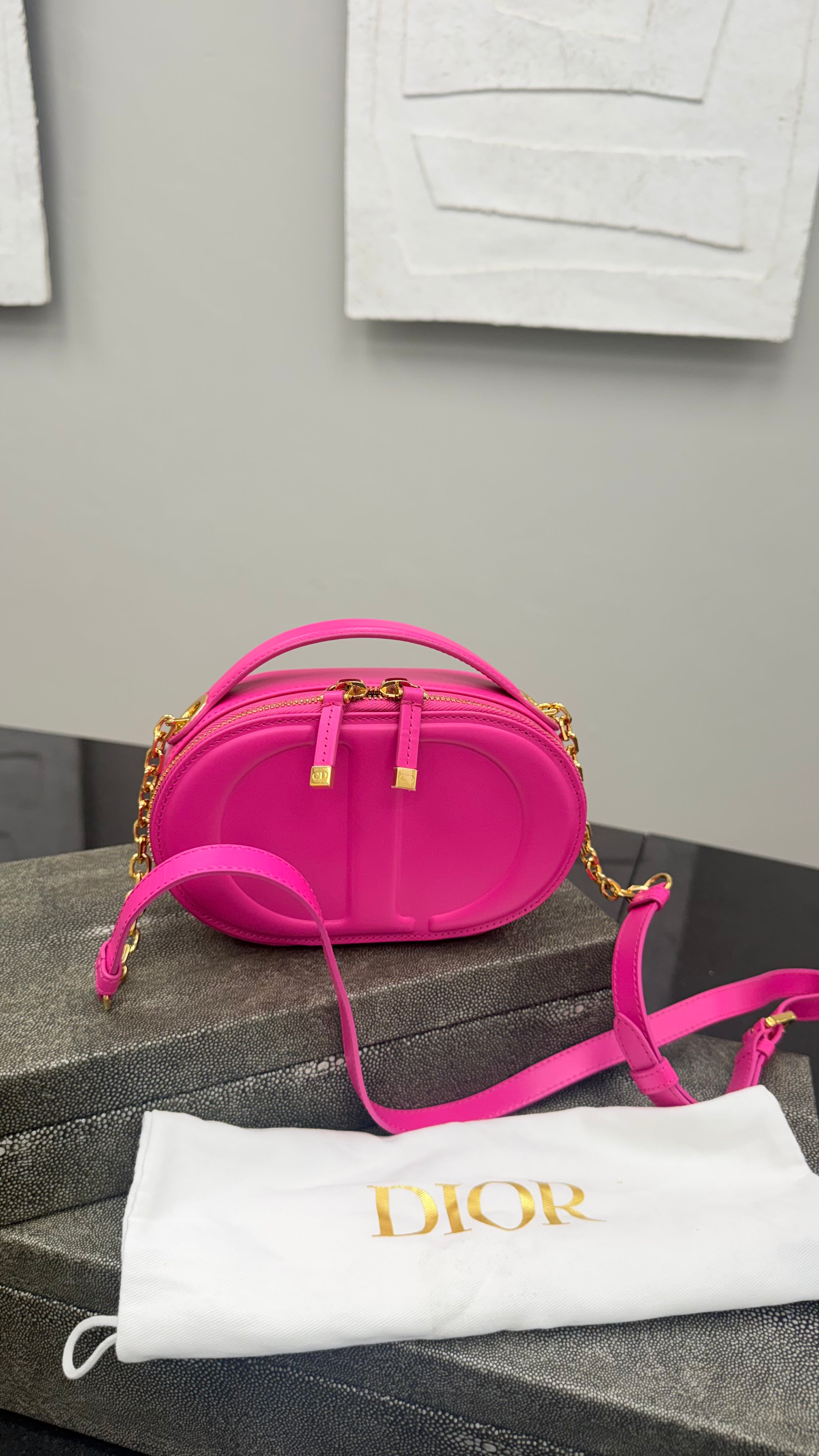 *DONS DROP* Christian Dior Pink Leather CD Embossed Signature Oval Camera Bag