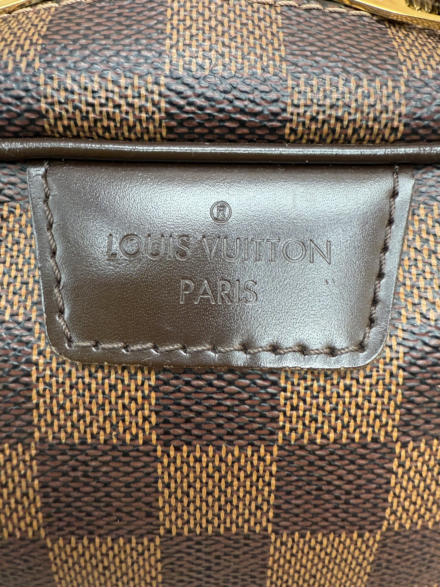 Louis Vuitton Damier Ebene Rivington PM Handbag