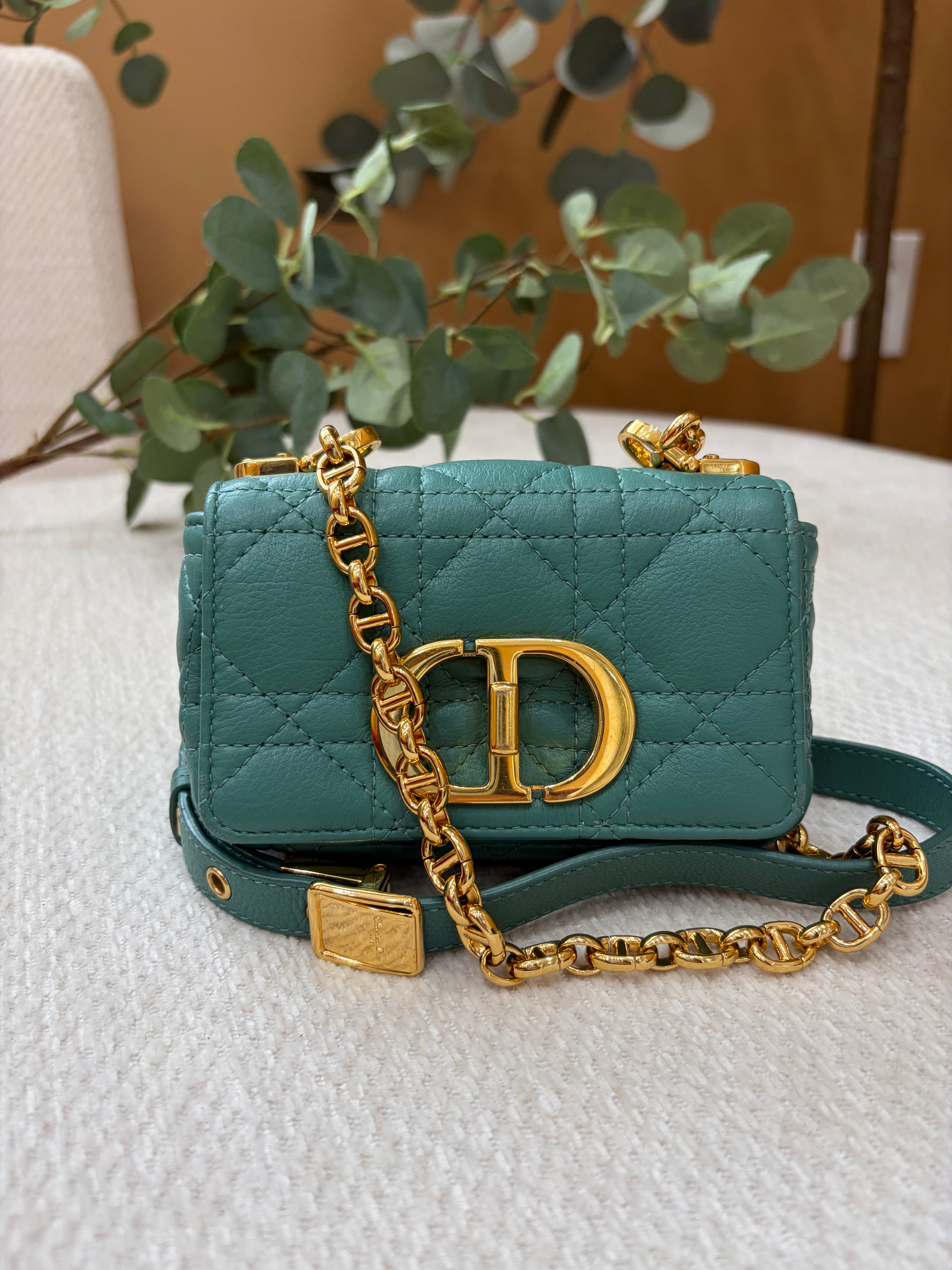 Christian Dior Sage Supple Calfskin Micro Caro Bag