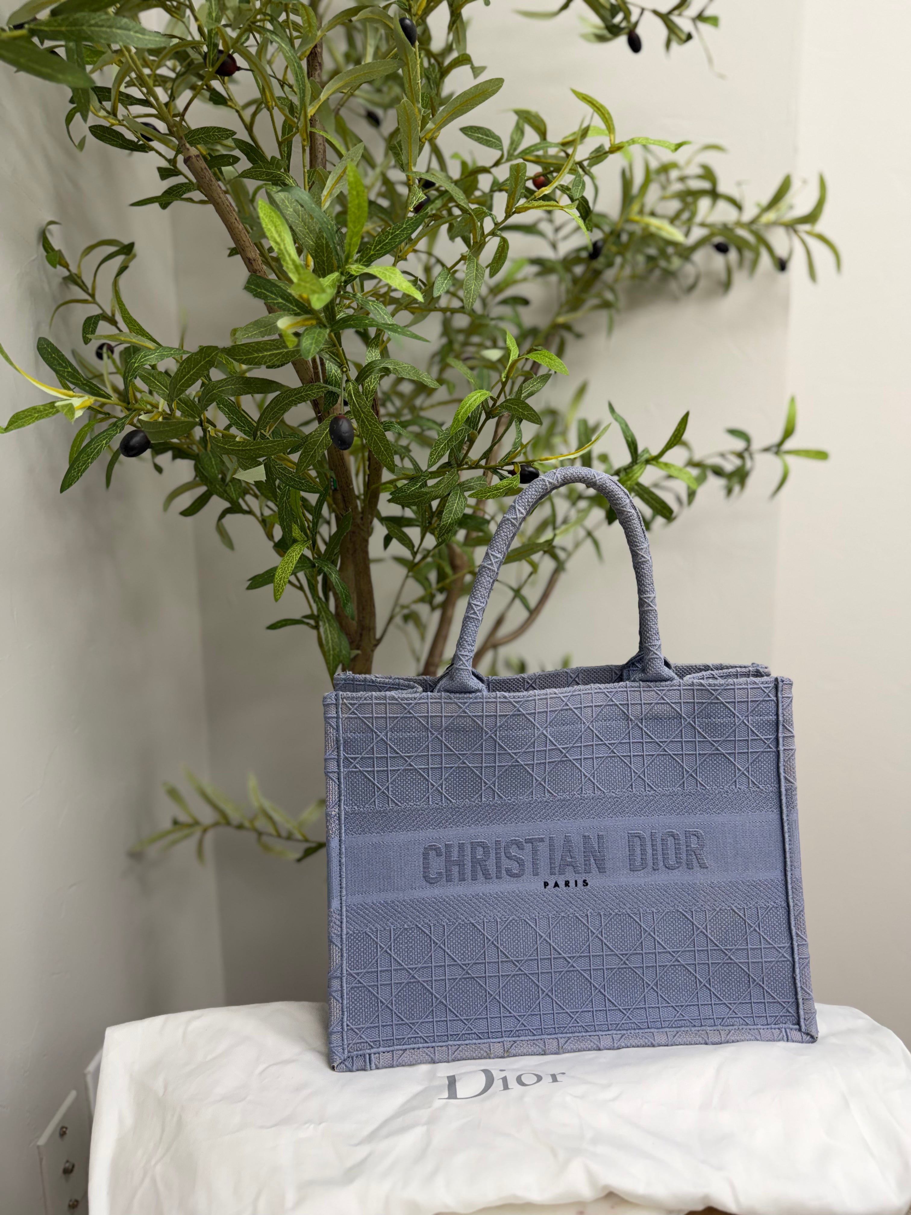Christian Dior Blue Canvas Medium Book Tote