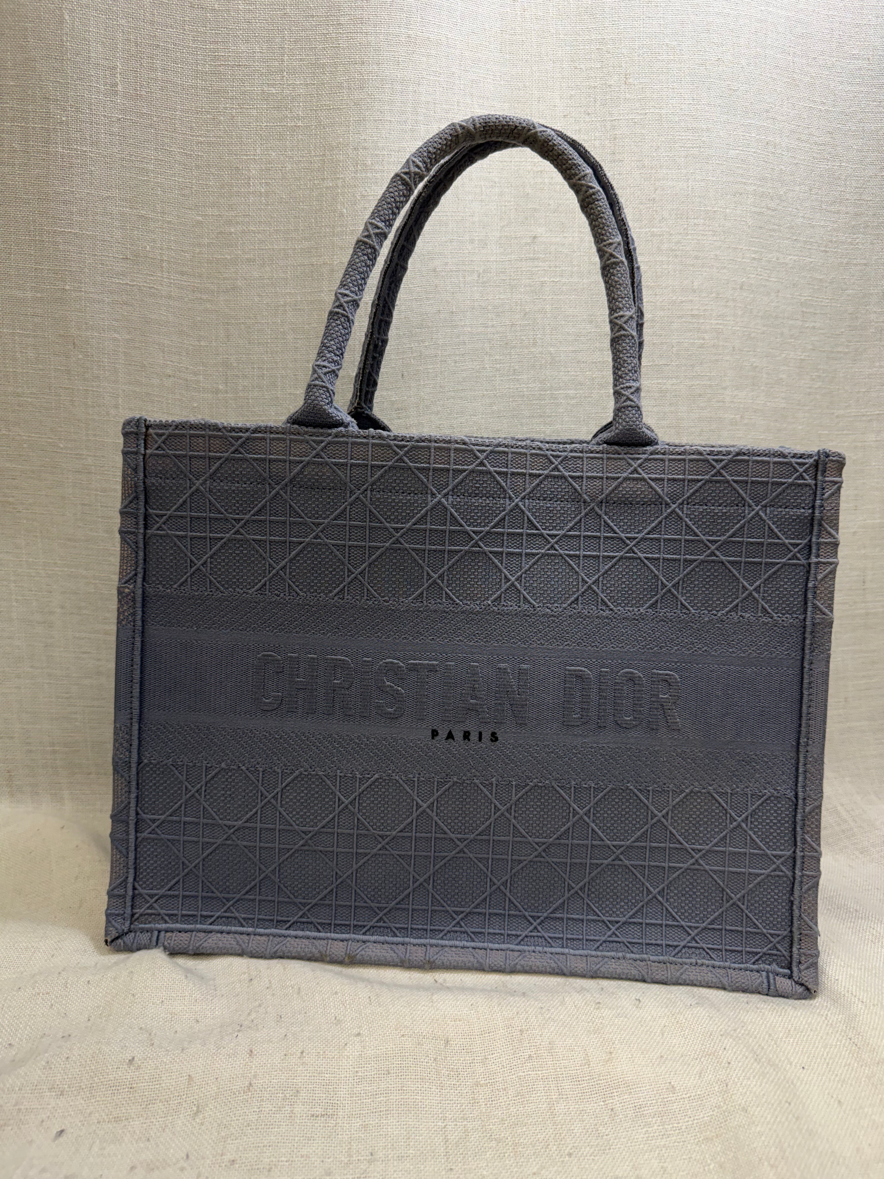 Christian Dior Blue Canvas Medium Book Tote