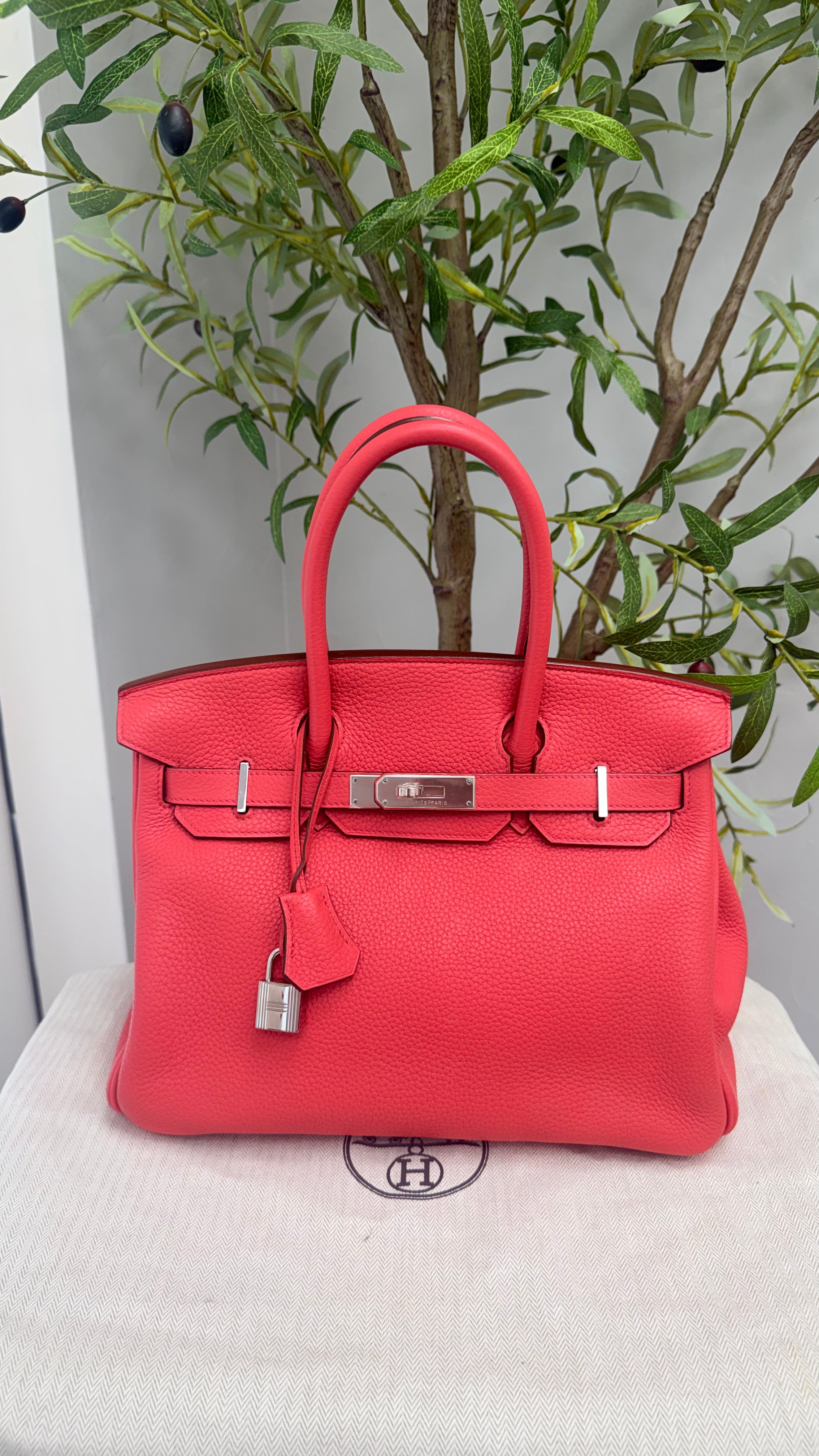 Hermes Birkin 30 Bougainvillier Clemence with Palladium Hardware