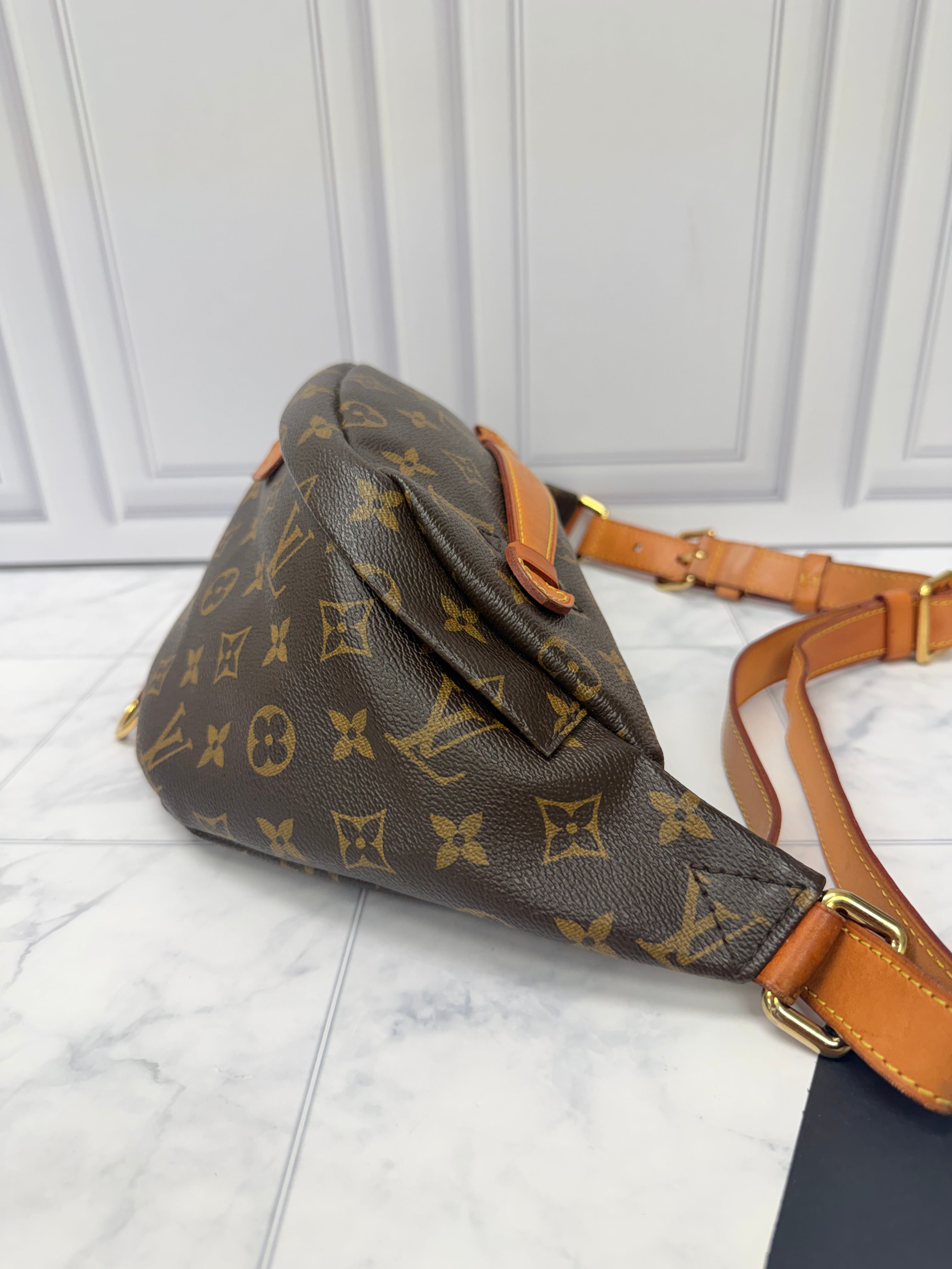 Louis Vuitton Monogram Bumbag