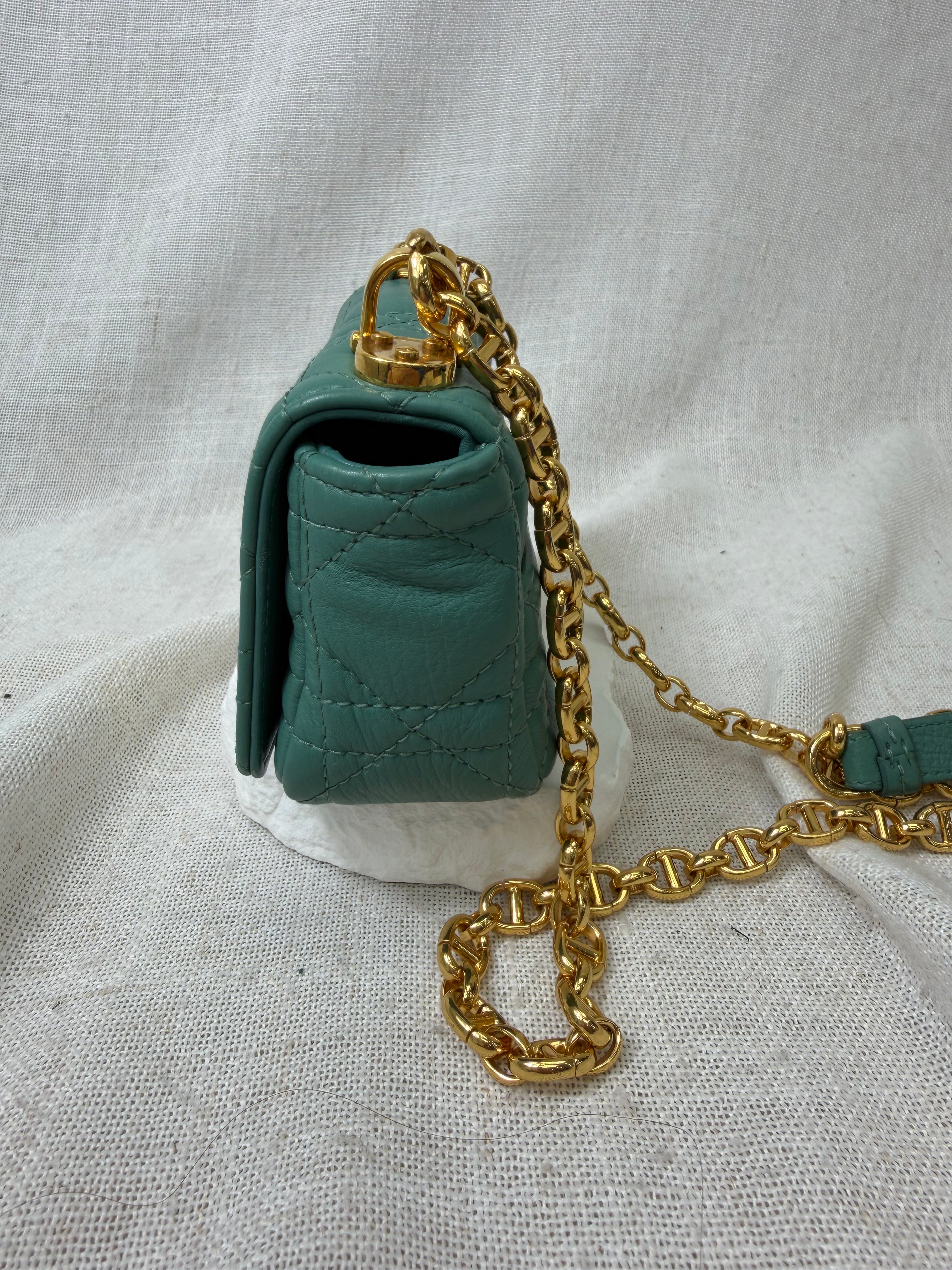 Christian Dior Sage Supple Calfskin Micro Caro Bag