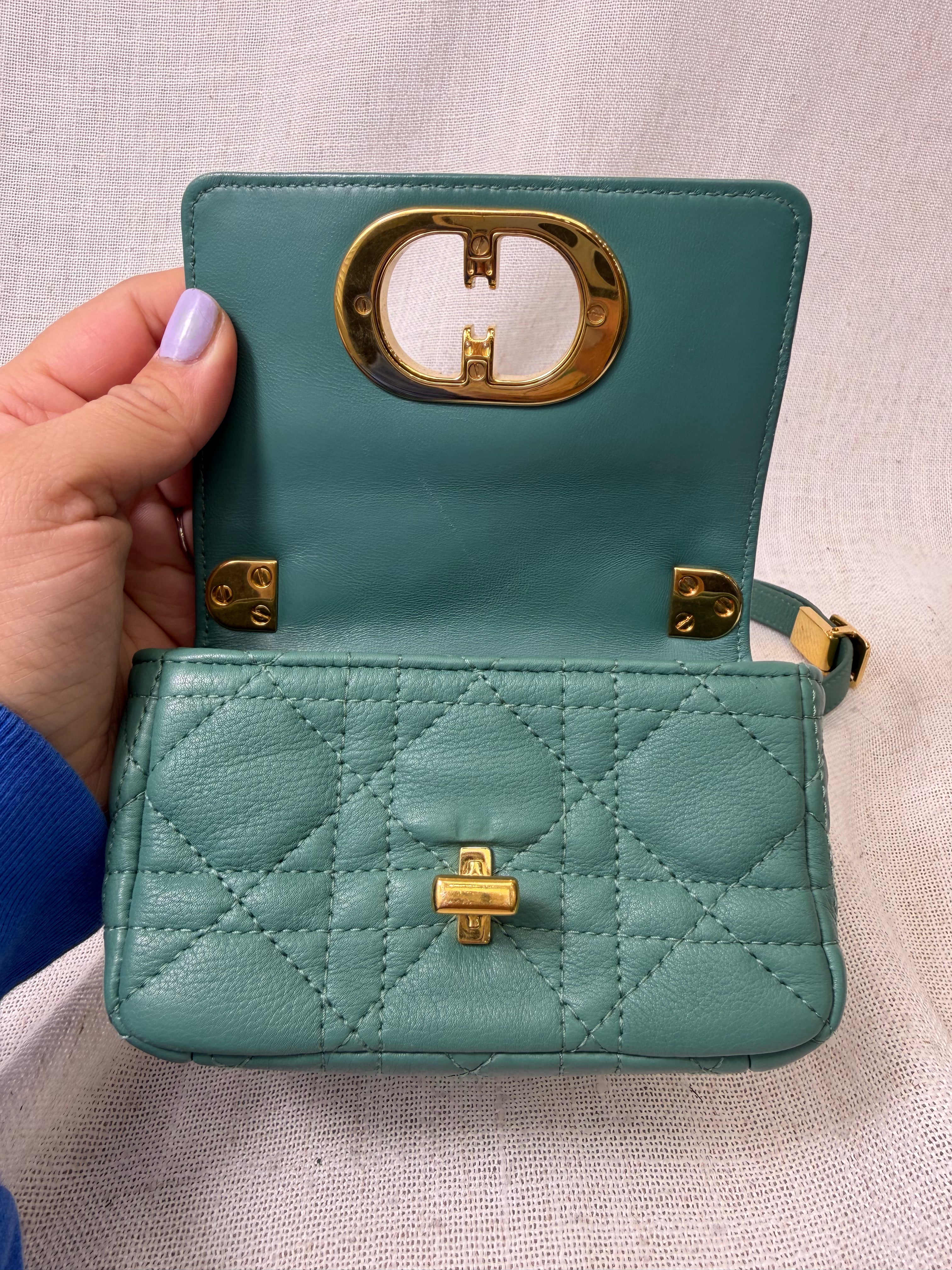 Christian Dior Sage Supple Calfskin Micro Caro Bag