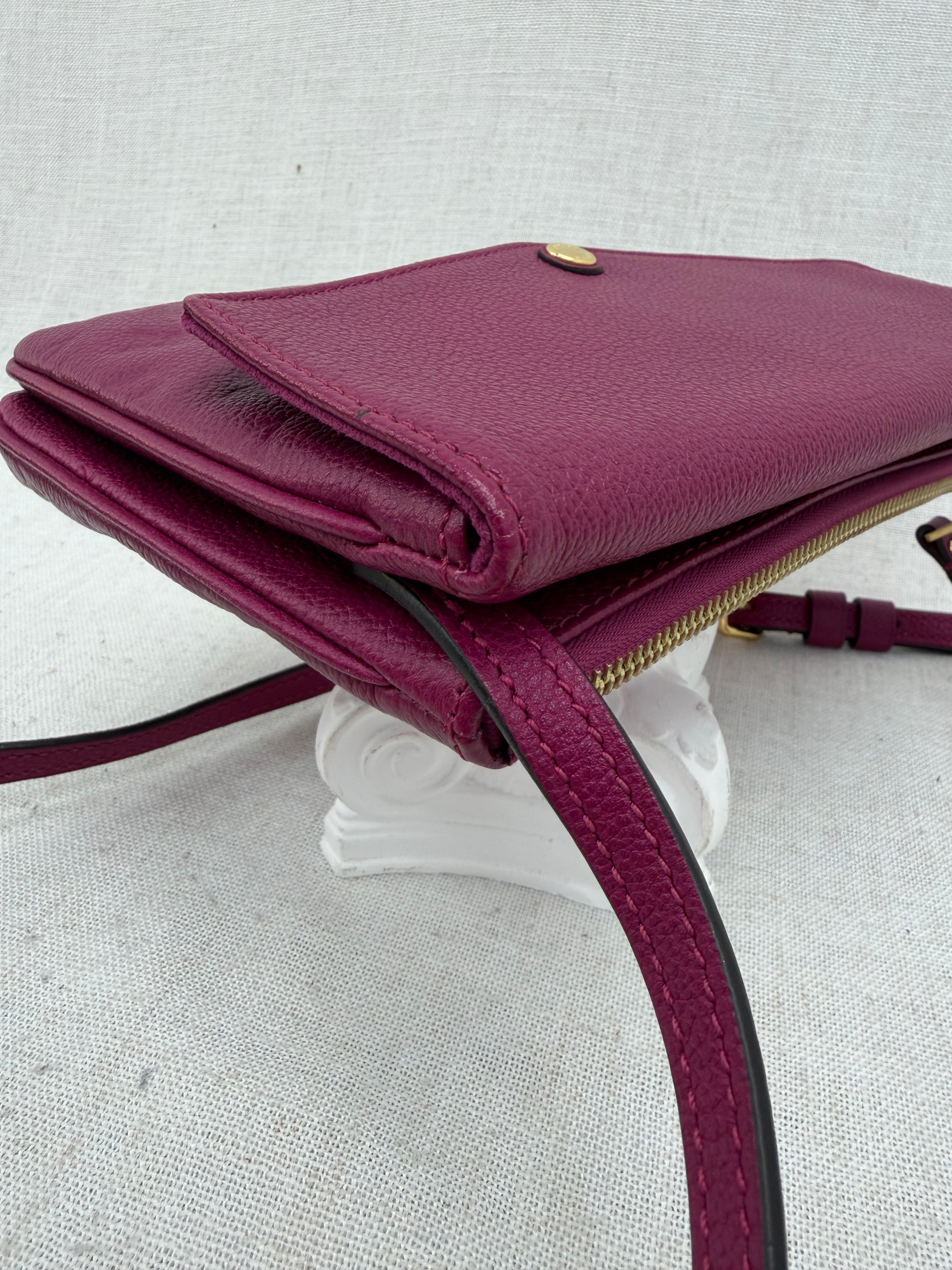 Louis Vuitton Grape Empreinte Leather Twice Crossbody