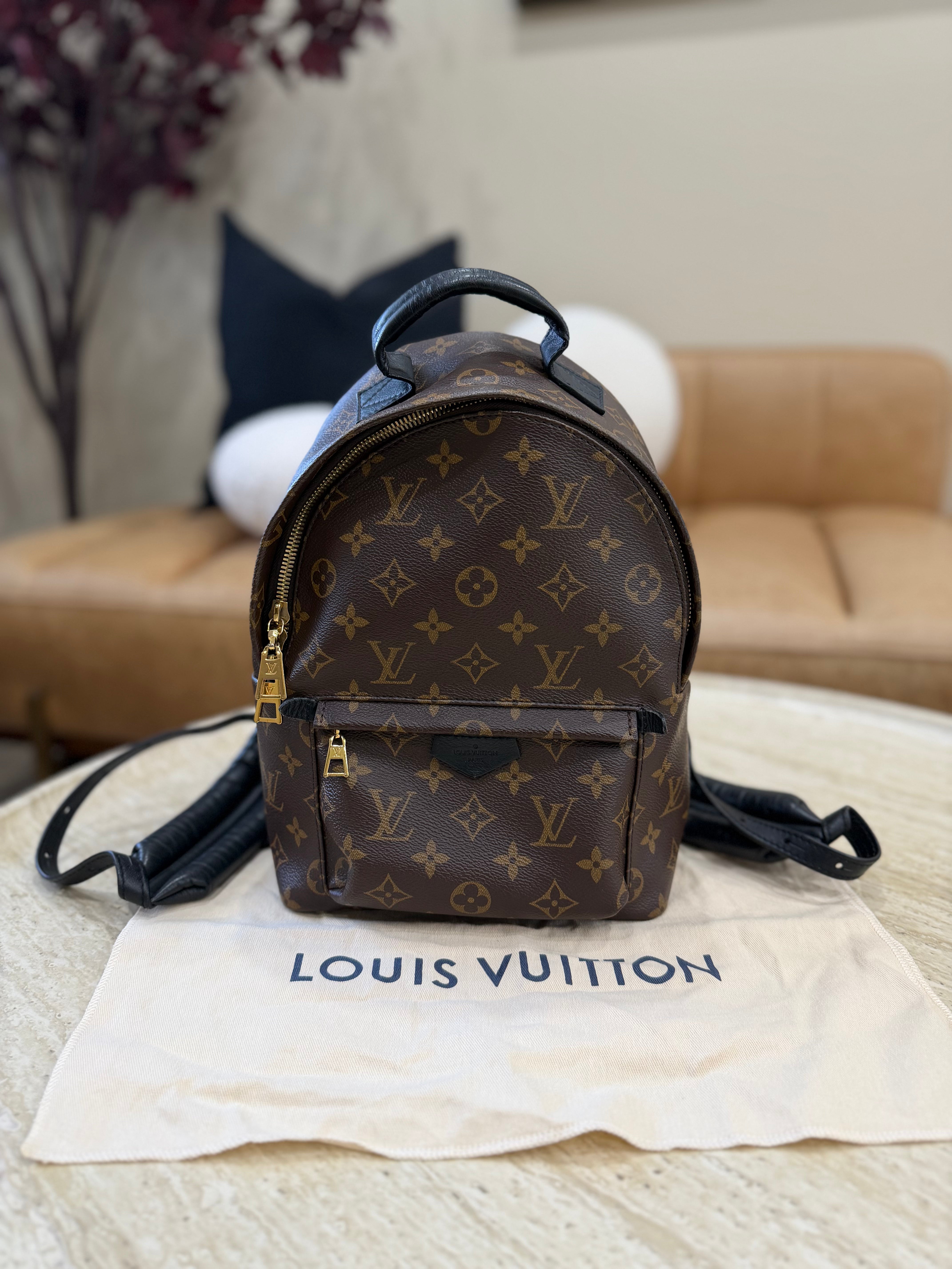 Louis Vuitton Monogram Palm Springs PM Backpack