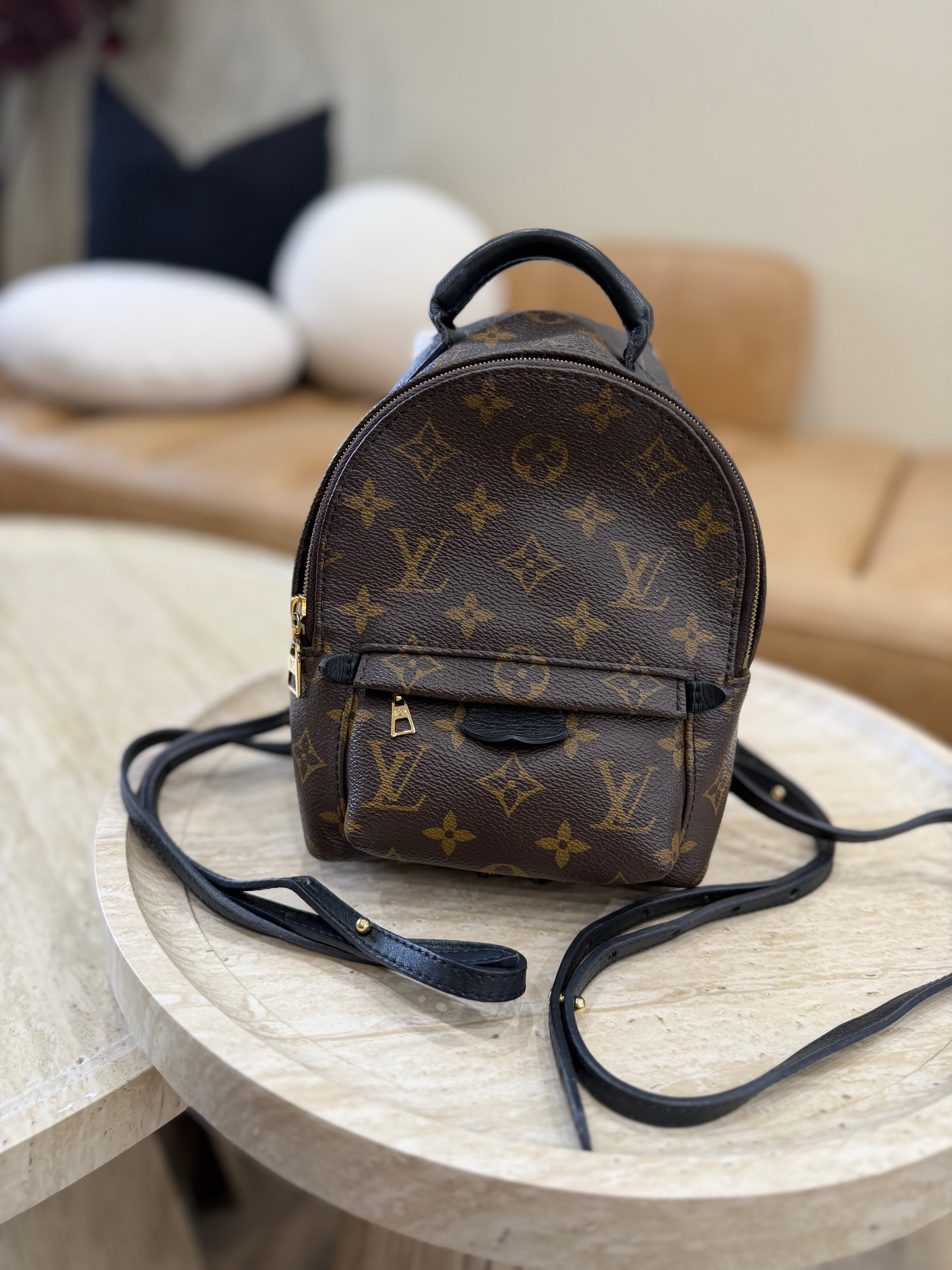 Louis Vuitton Monogram Palm Springs Mini Backpack