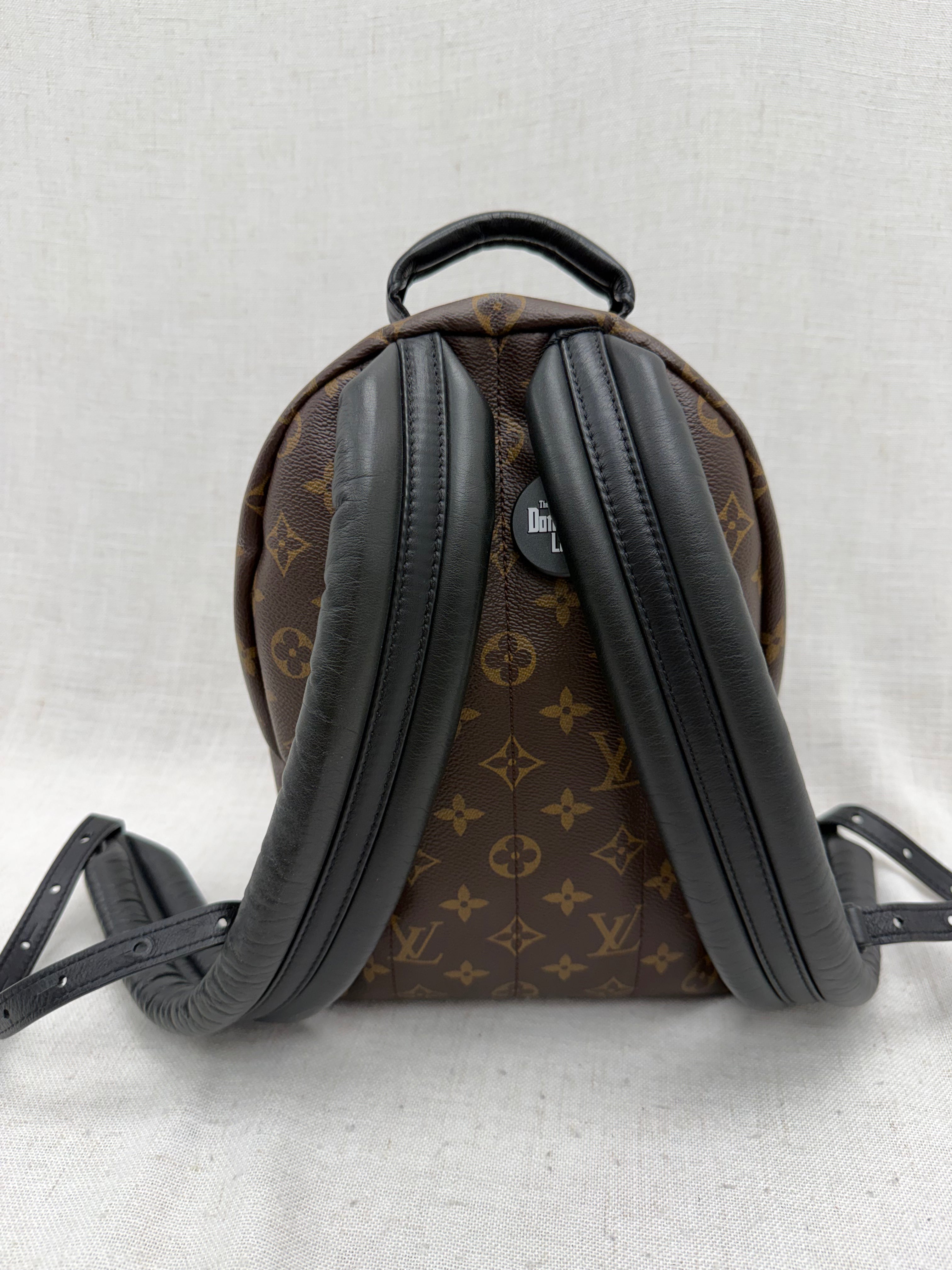 Louis Vuitton Monogram Palm Springs PM Backpack