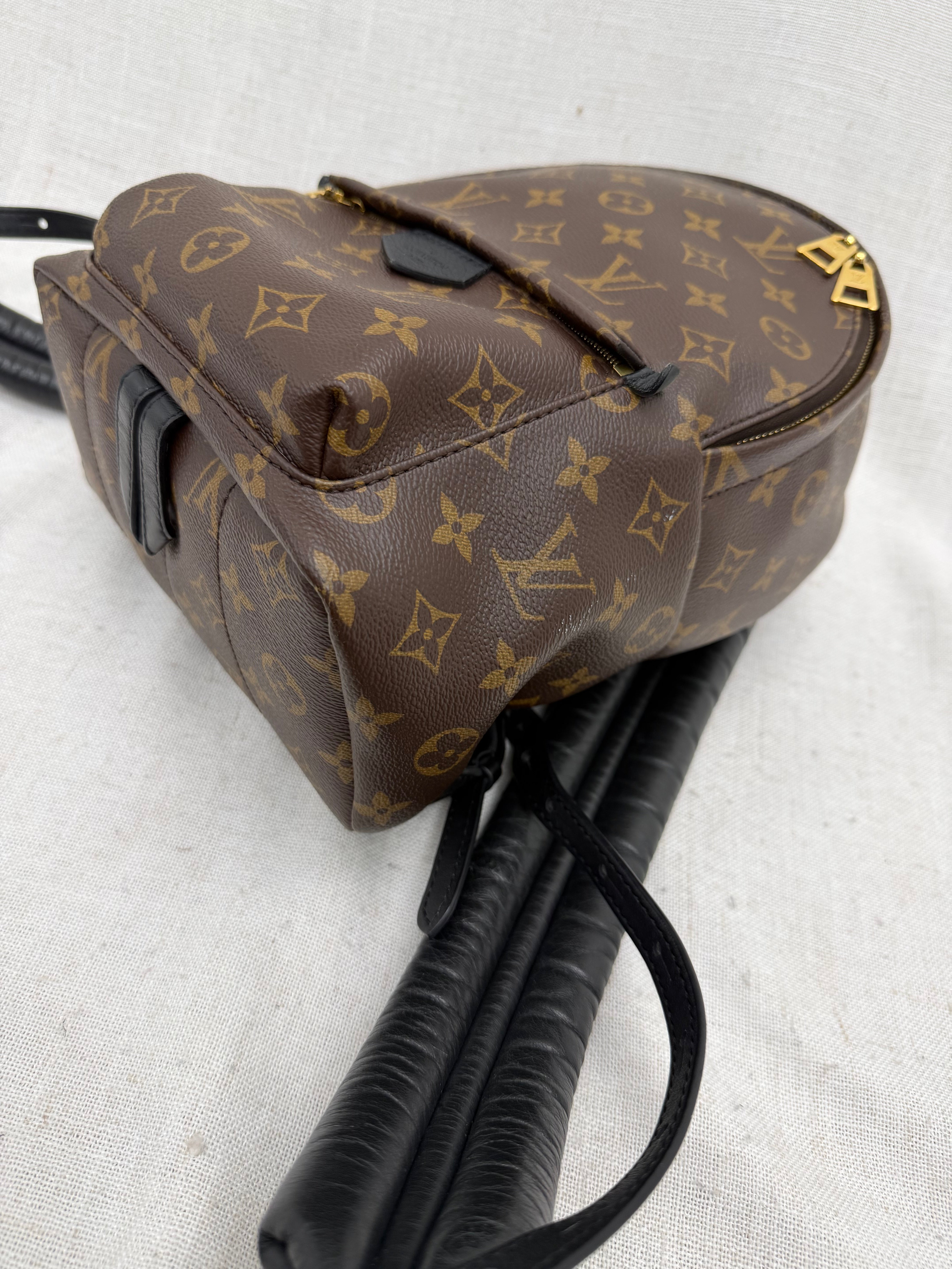 Louis Vuitton Monogram Palm Springs PM Backpack