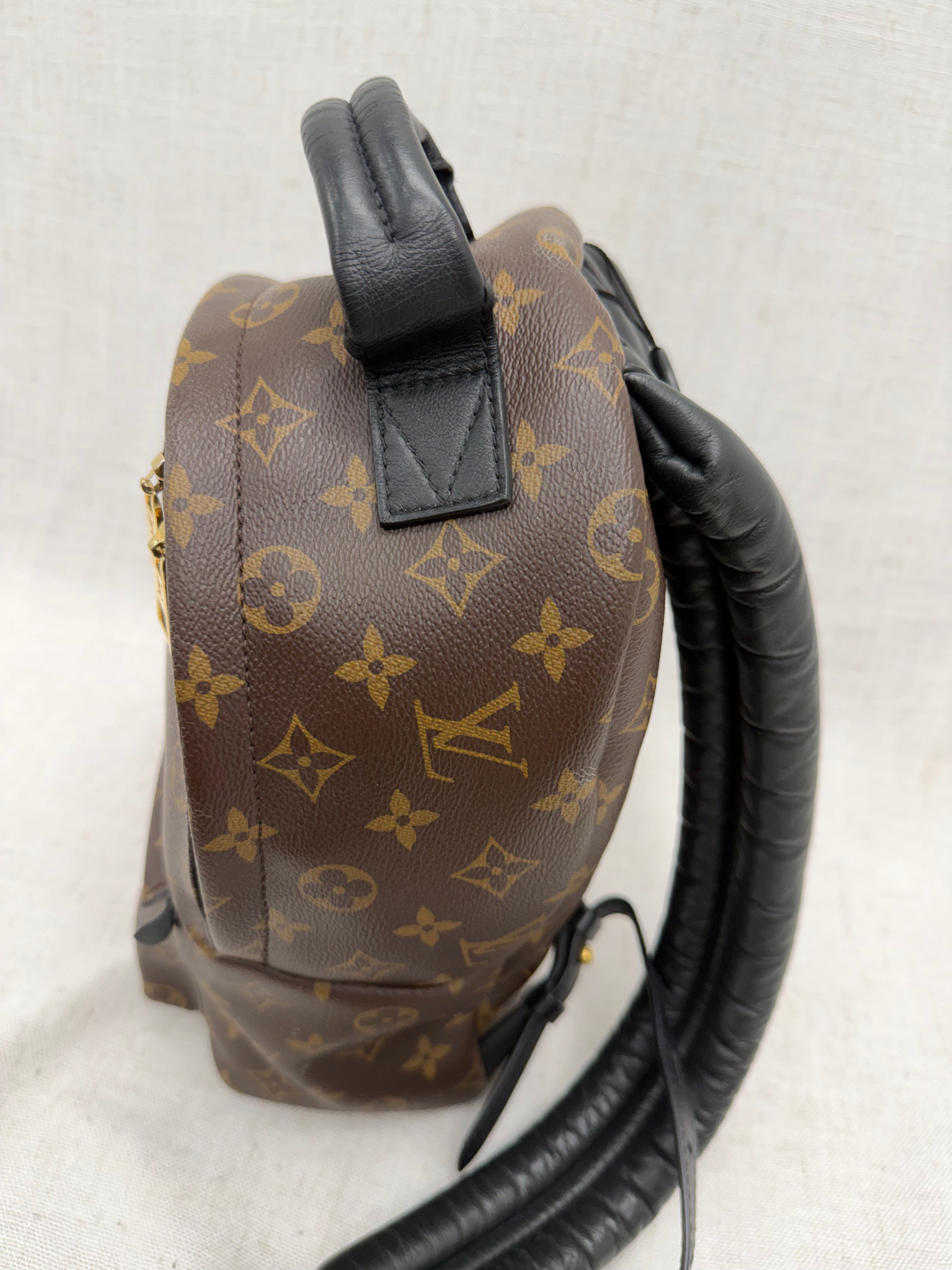 Louis Vuitton Monogram Palm Springs PM Backpack