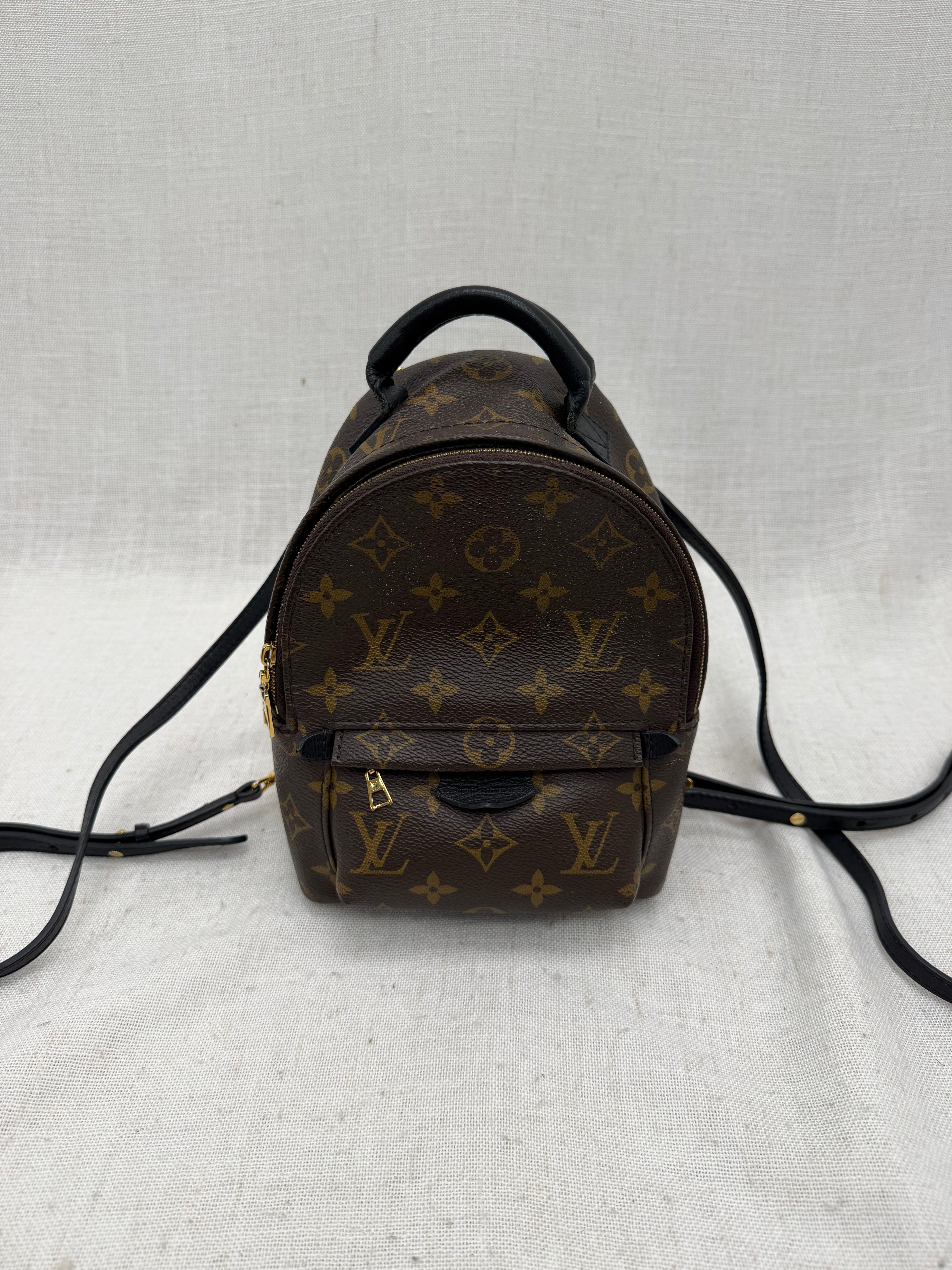 Louis Vuitton Monogram Palm Springs Mini Backpack