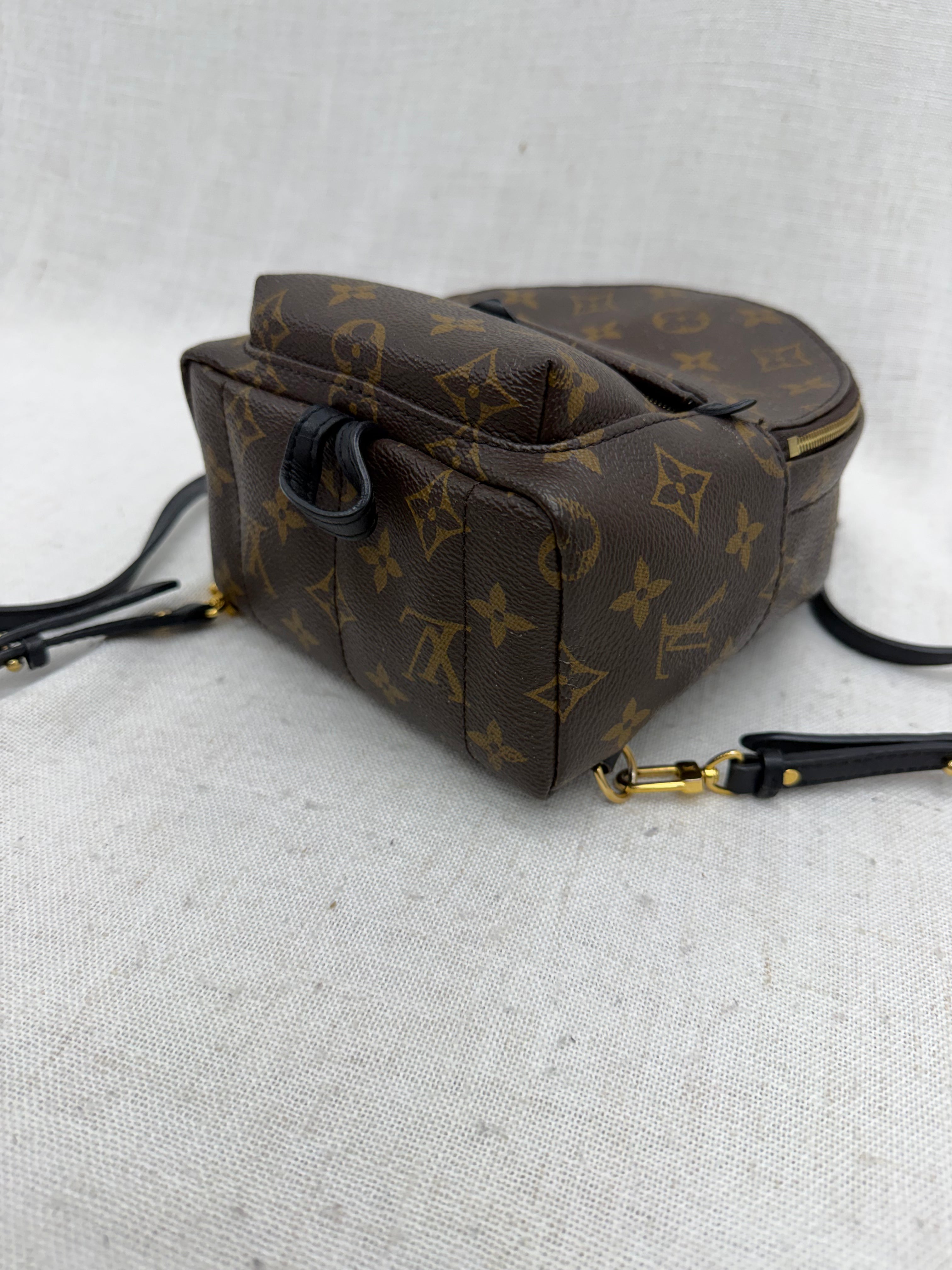 Louis Vuitton Monogram Palm Springs Mini Backpack