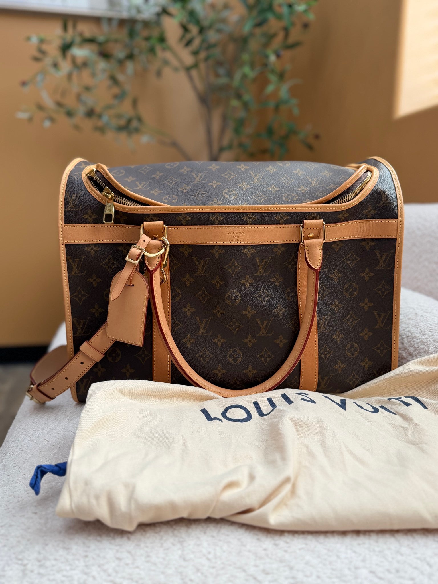 Louis Vuitton Monogram Pet Bag