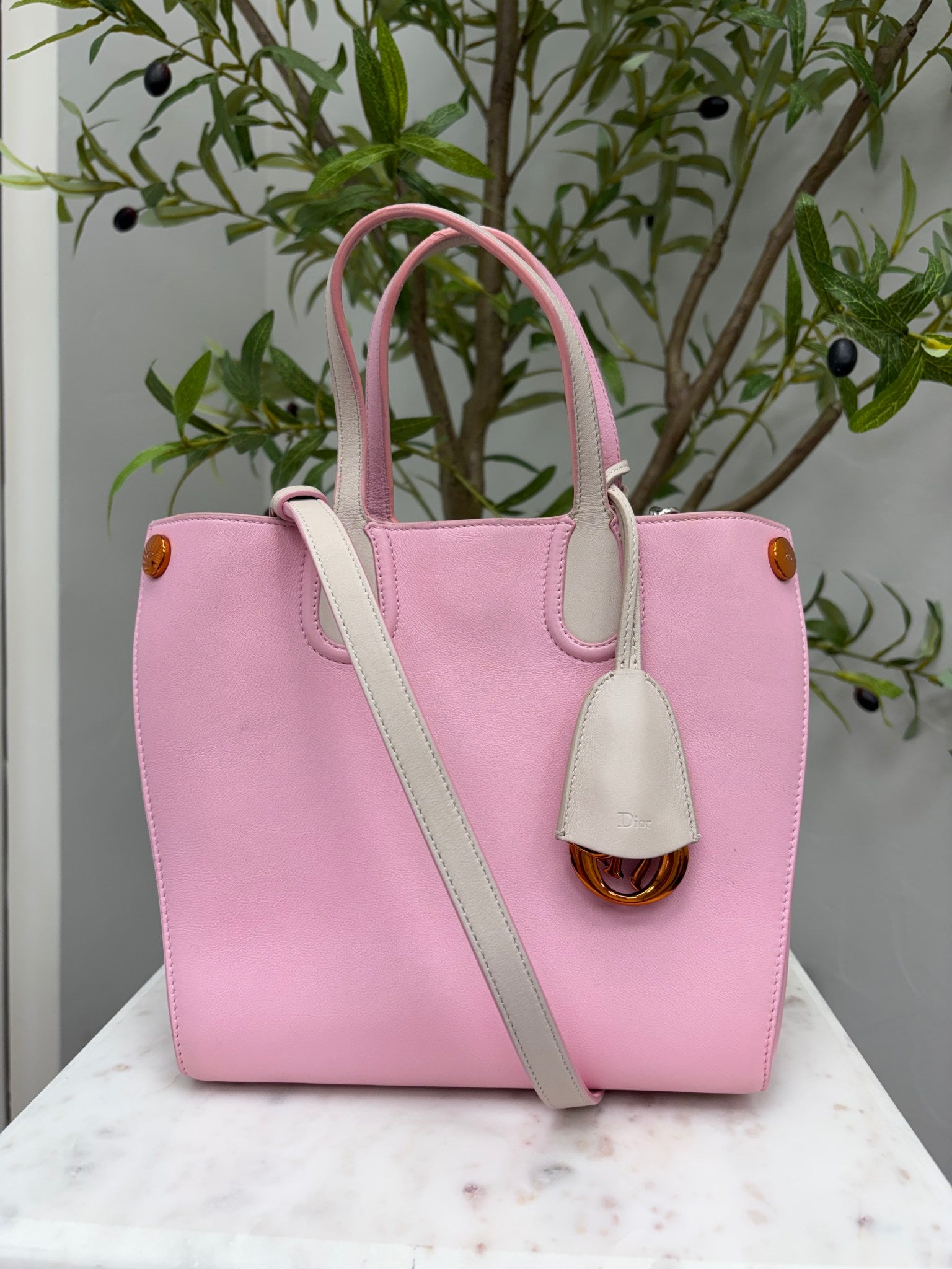 Christian Dior Pink Leather Addict Tote Bag