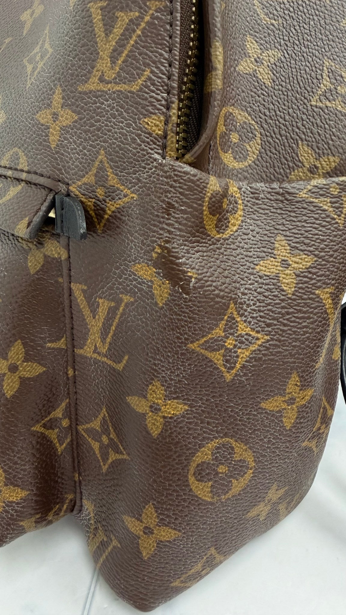 Louis Vuitton Monogram Palm Springs MM Backpack