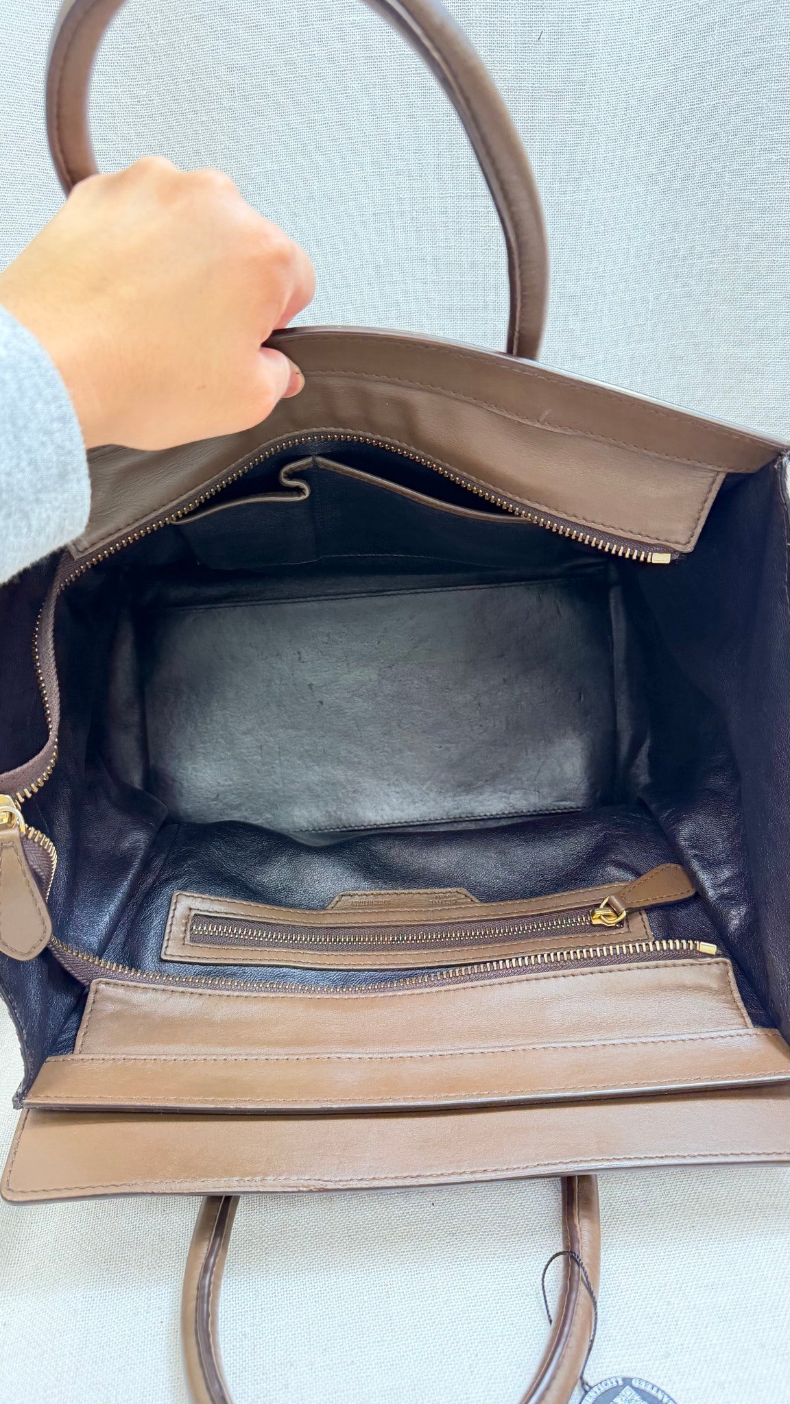Celine Brown Python Leather Mini Luggage Tote Bag