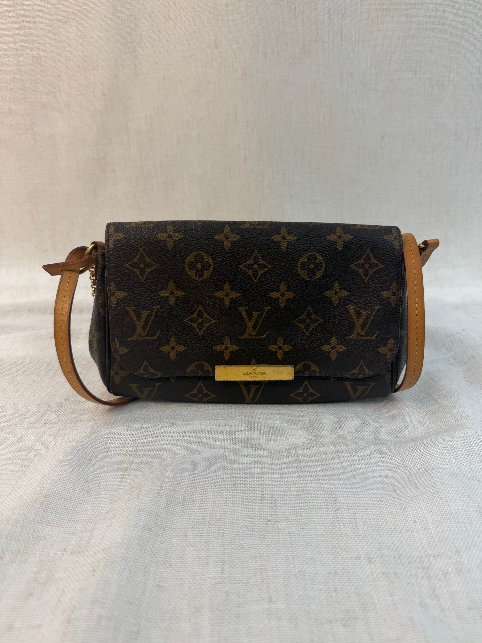 Louis Vuitton Monogram Favorite PM Bag