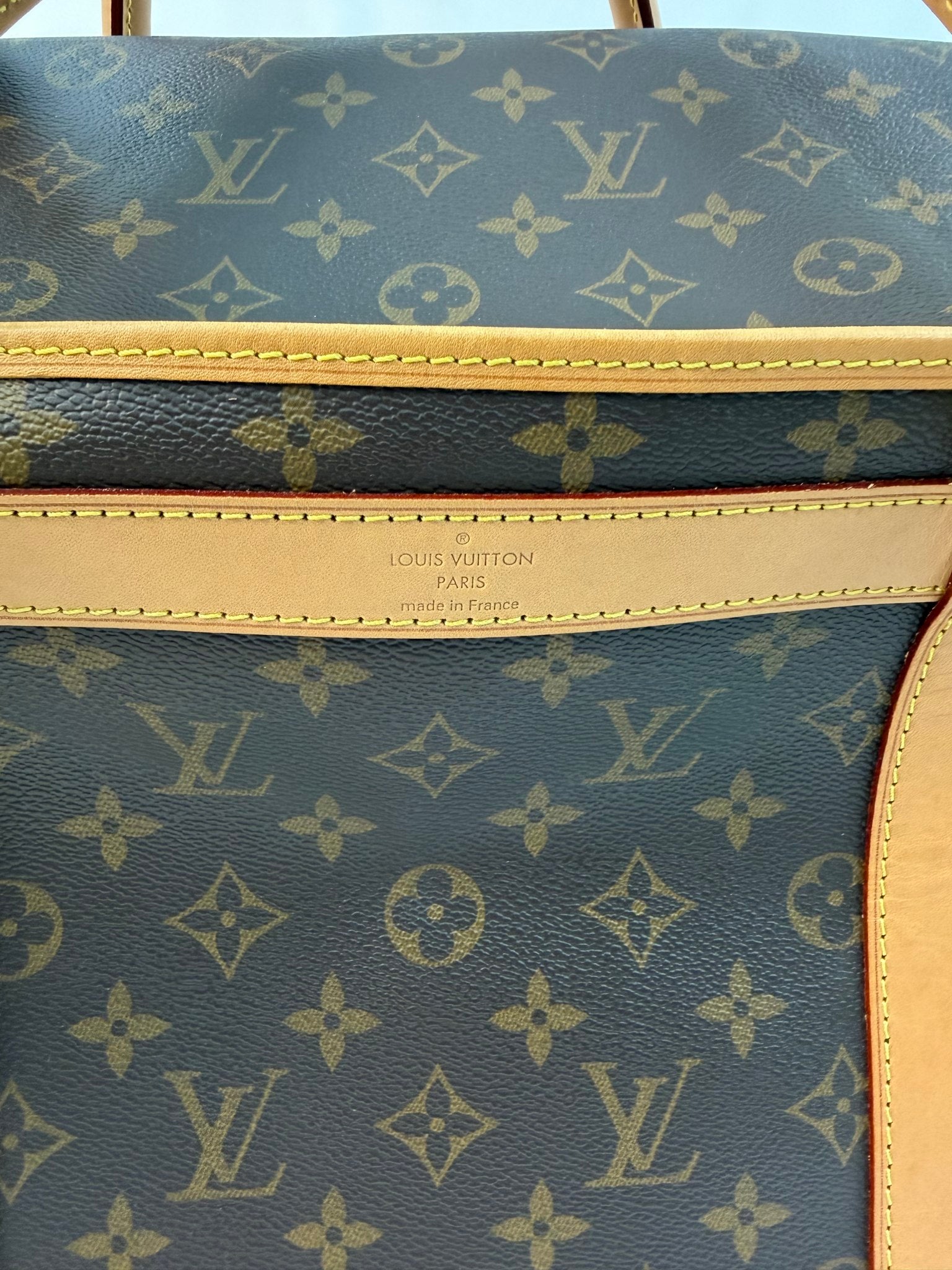 Louis Vuitton Monogram Pet Bag
