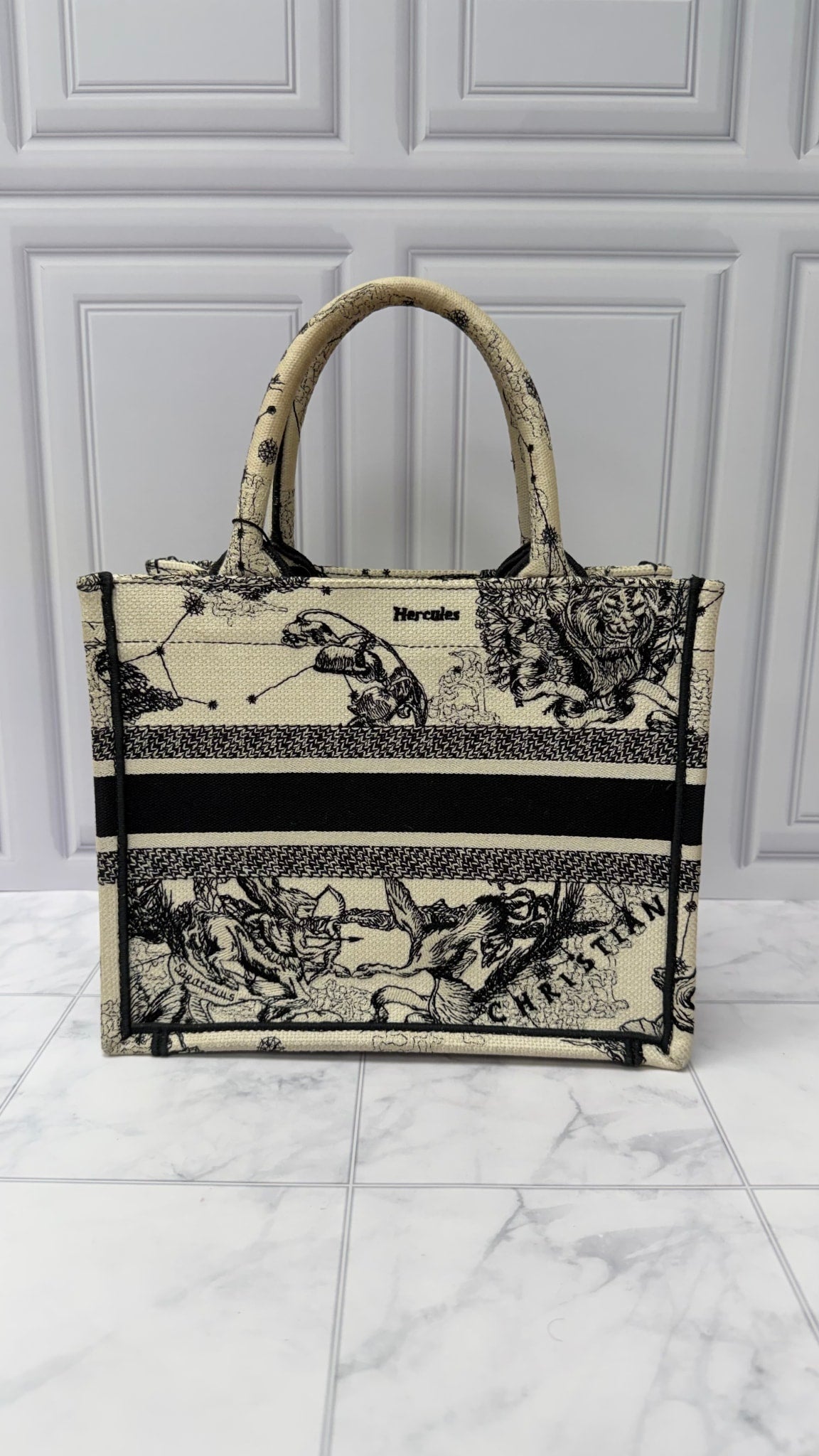Christian Dior White & Black Canvas Astrology Small Book Tote