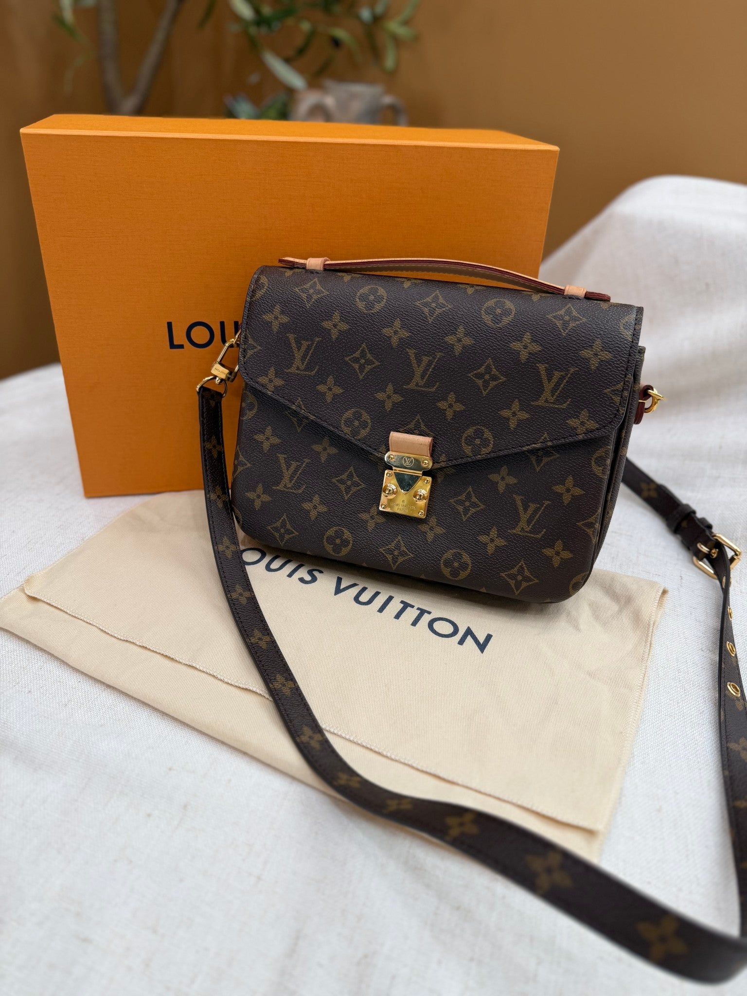Louis Vuitton Monogram Pochette Metis Bag