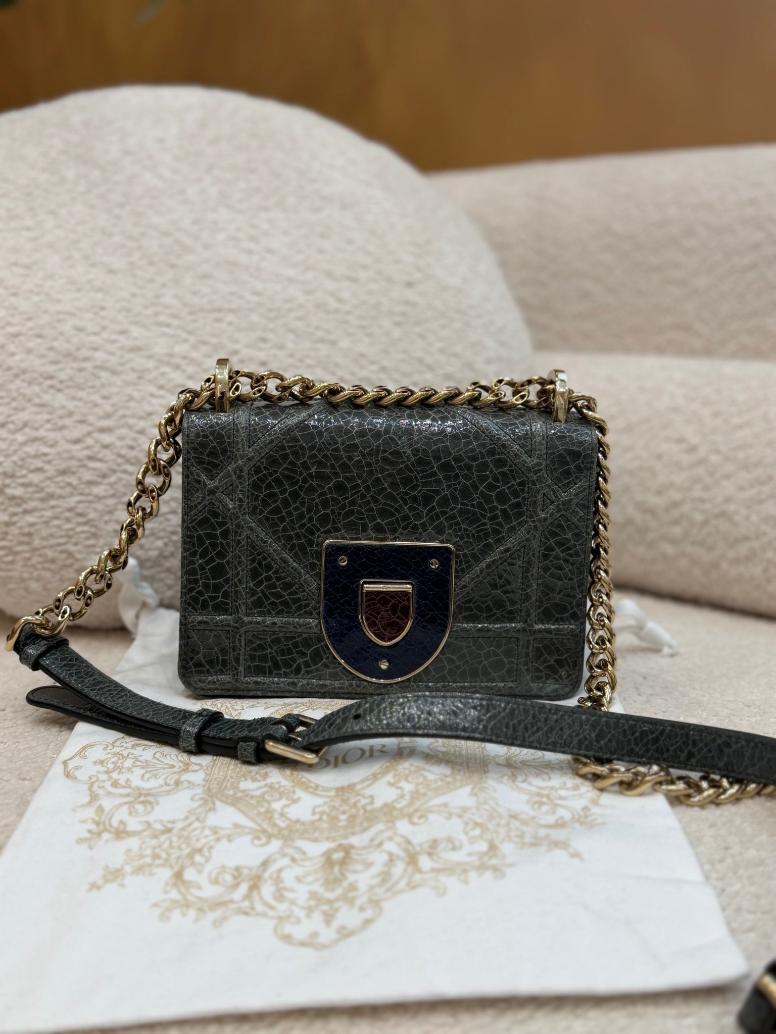 Christian Dior Multicolor Leather Diorama Club Flap Bag